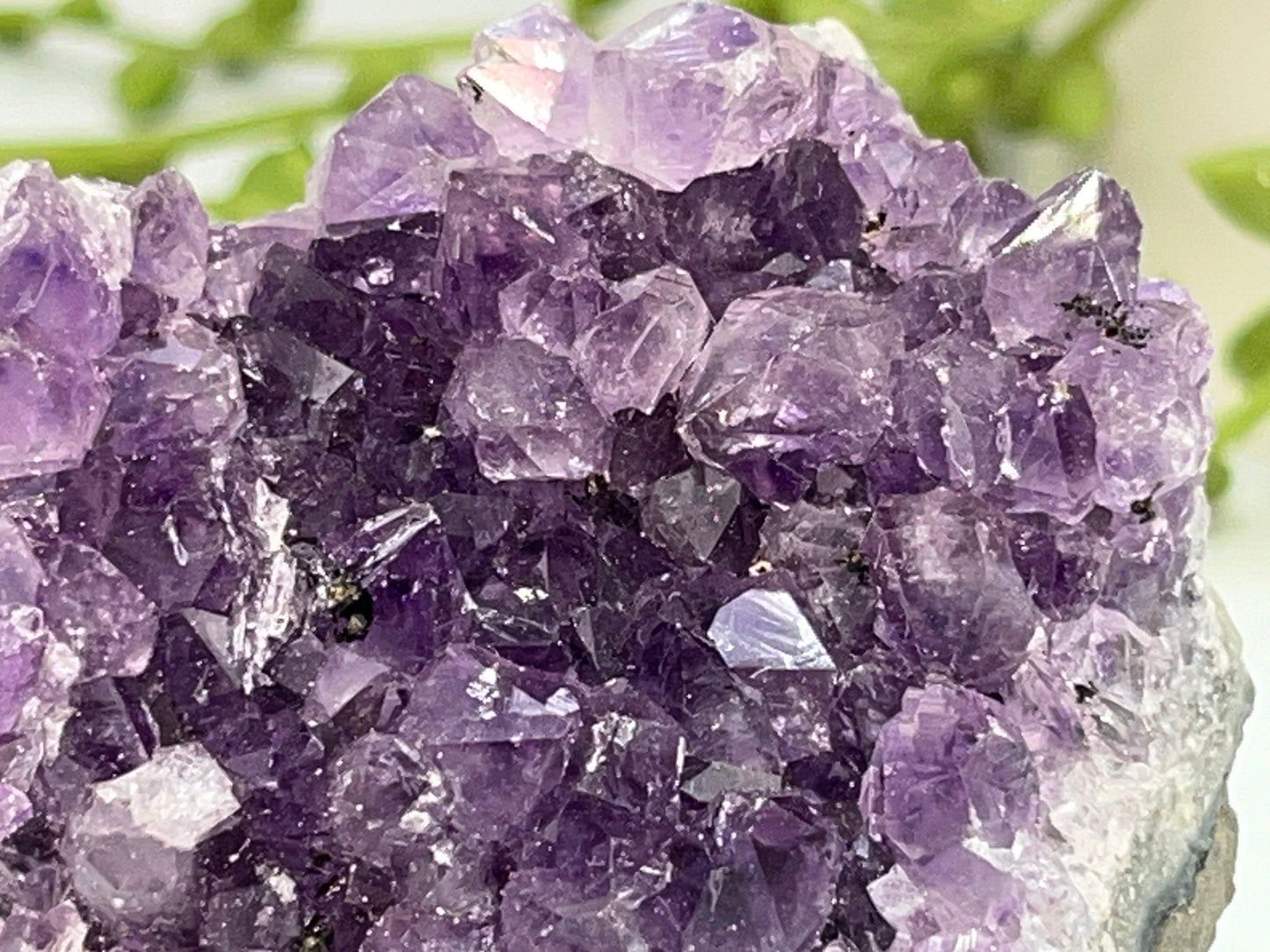 Gorgeous dark purple Amethyst cluster on quartz base. Amethyst specimen, raw crystal,