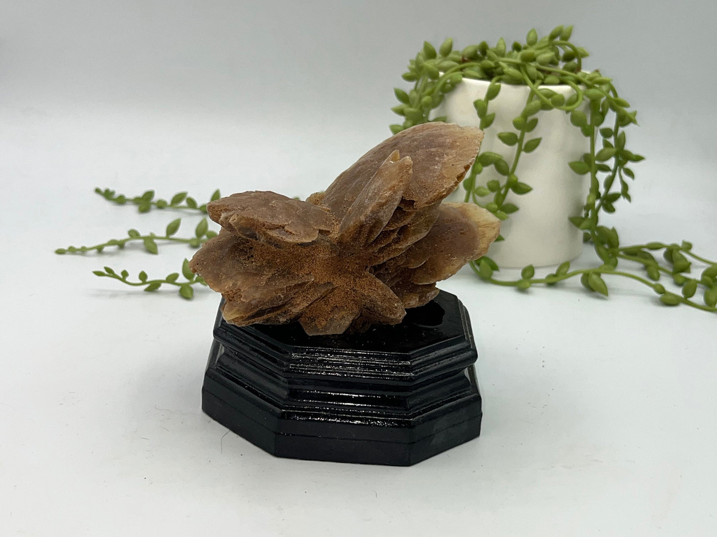 Moroccan Desert Rose Selenite, Arabian Desert Sand Rose, Desert Rose Sand Rose, Sahara Rose, Rose Rock, Baryte (Barite) Rose.