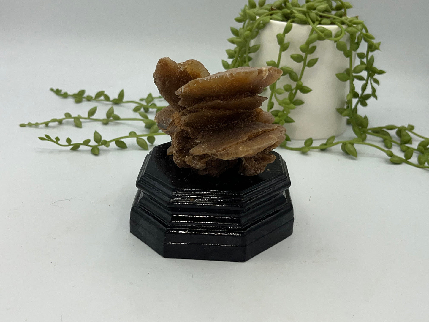 Moroccan Desert Rose Selenite, Arabian Desert Sand Rose, Desert Rose Sand Rose, Sahara Rose, Rose Rock, Baryte (Barite) Rose.