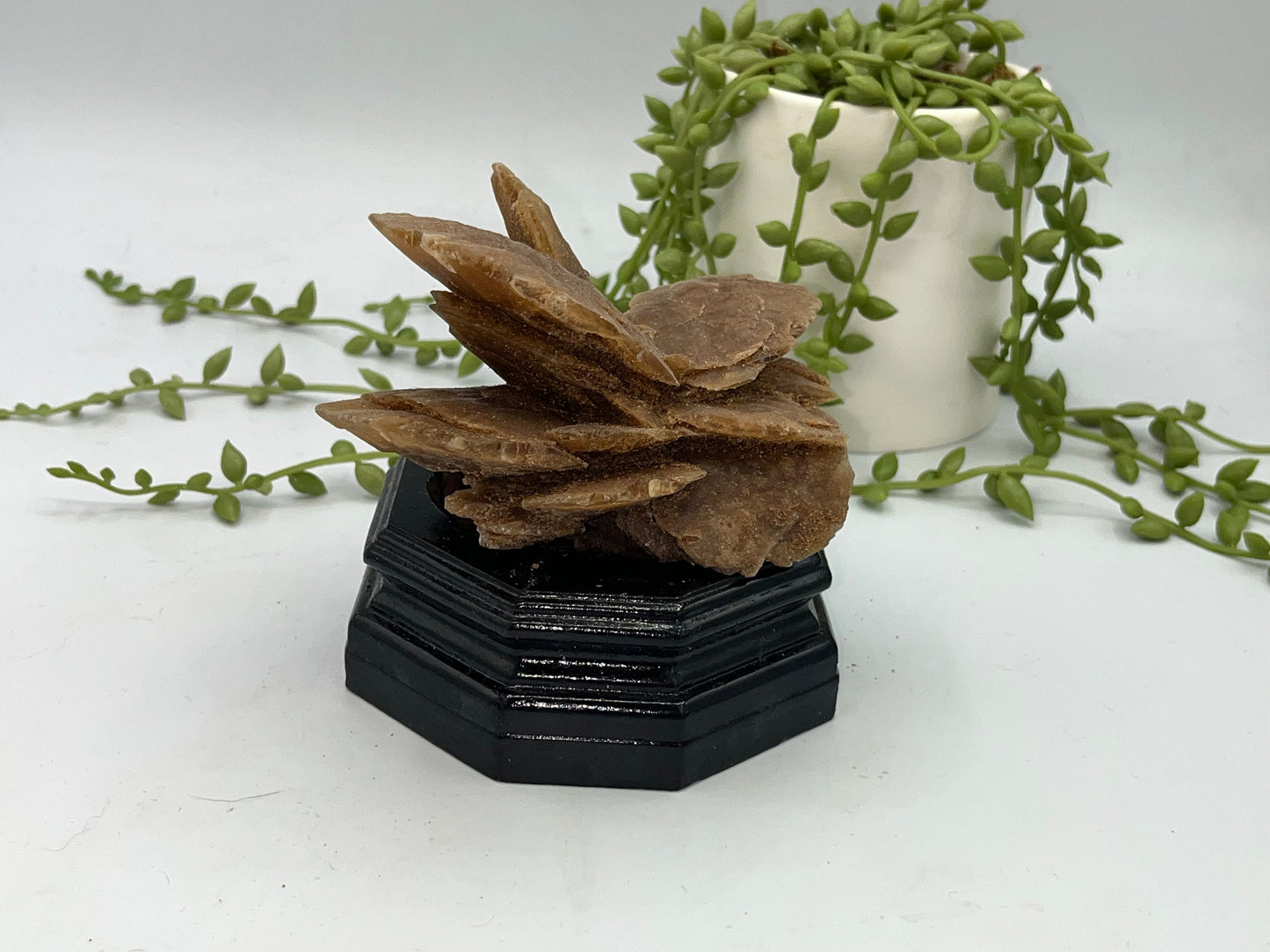 Moroccan Desert Rose Selenite, Arabian Desert Sand Rose, Desert Rose Sand Rose, Sahara Rose, Rose Rock, Baryte (Barite) Rose.