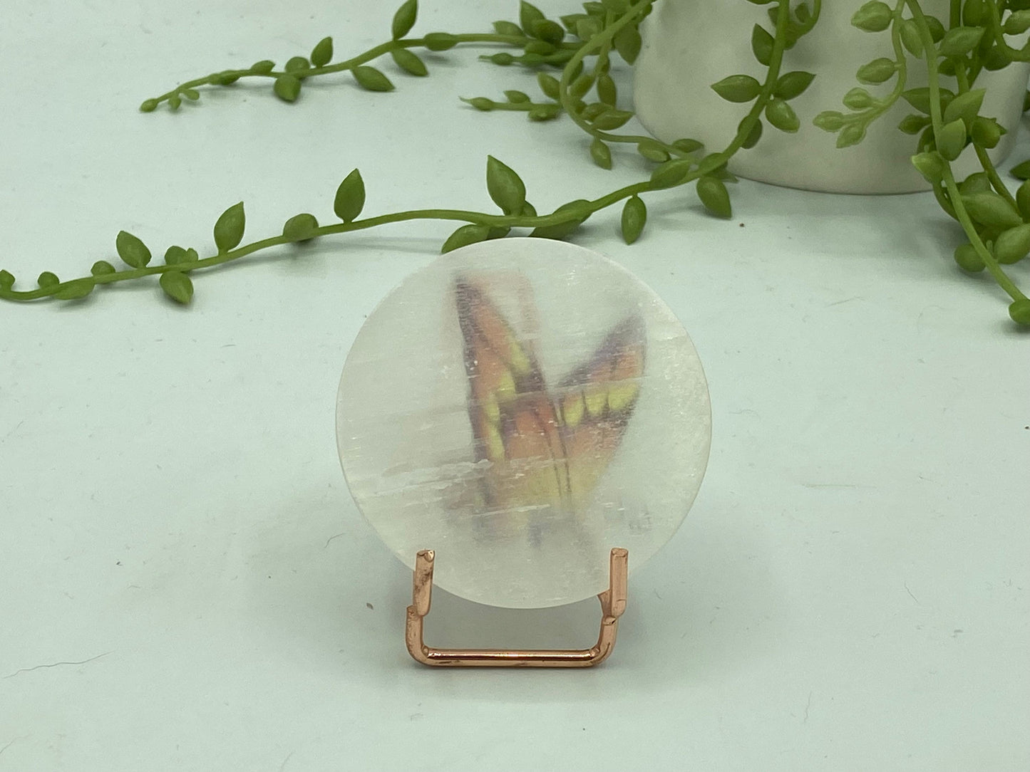 Pretty butterfly on Selenite/Gypsum/Satin Spar small sized charging plate, Approx 55mm, cleansing & recharging, butterflies pattern,