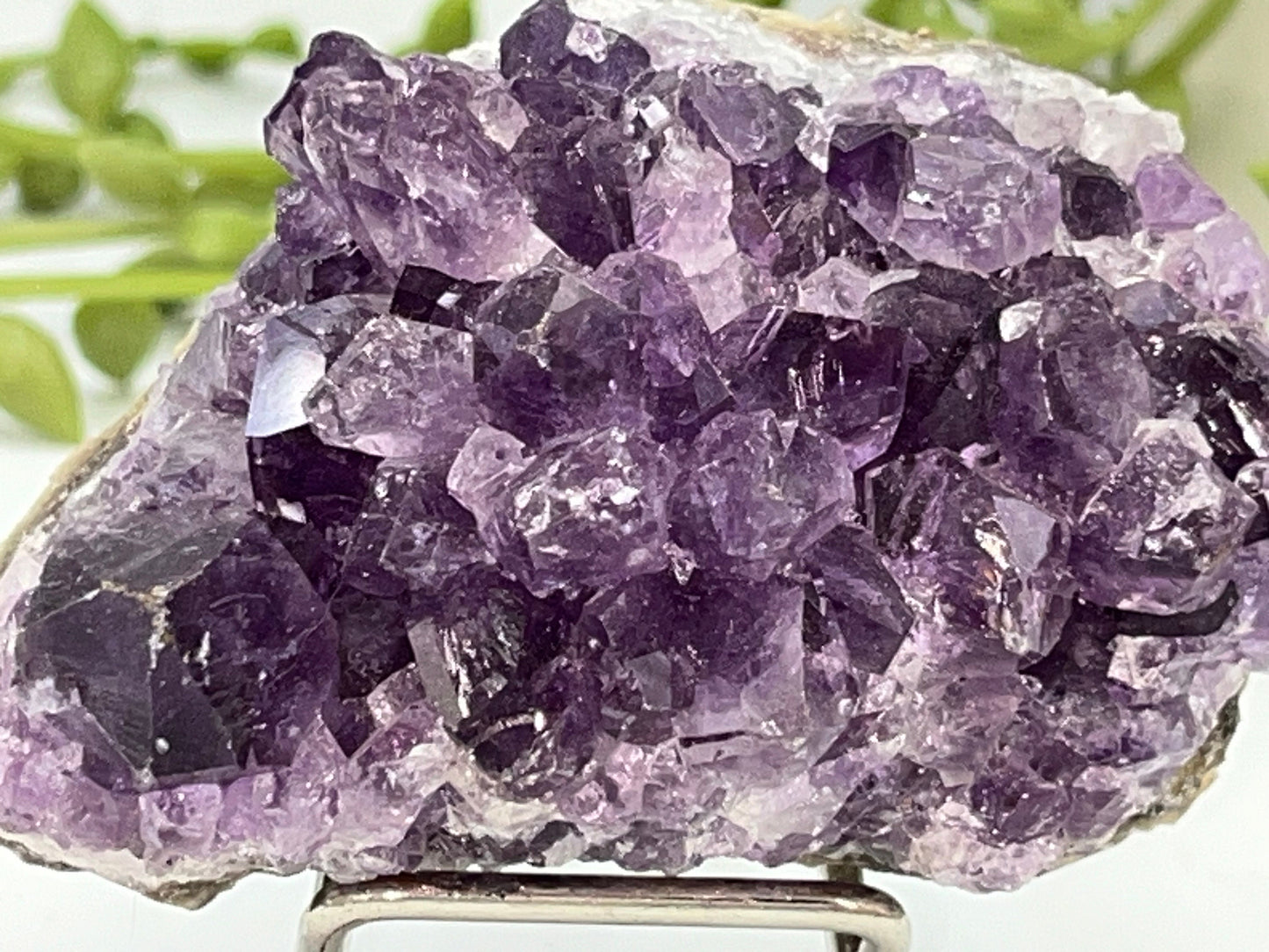 Gorgeous dark purple Amethyst cluster on quartz base. Amethyst specimen, raw crystal,