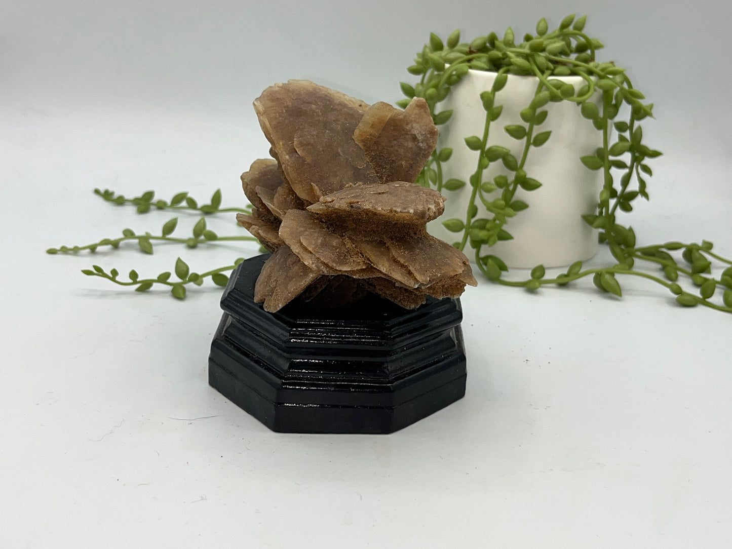 Moroccan Desert Rose Selenite, Arabian Desert Sand Rose, Desert Rose Sand Rose, Sahara Rose, Rose Rock, Baryte (Barite) Rose.