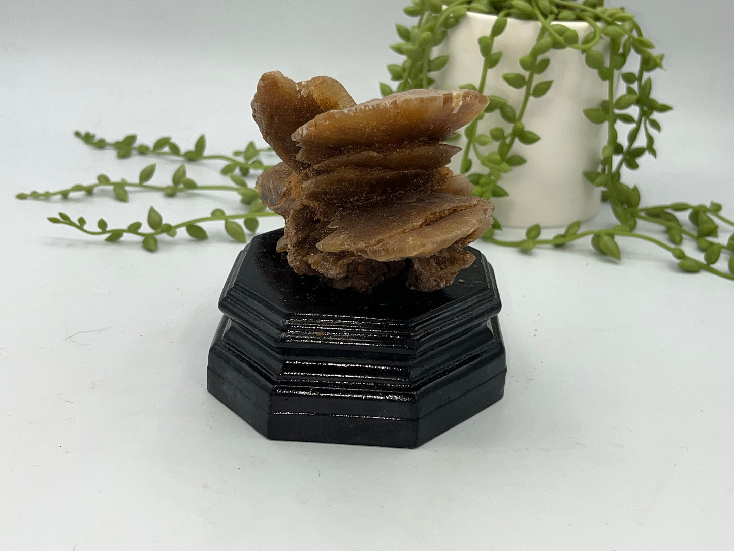 Moroccan Desert Rose Selenite, Arabian Desert Sand Rose, Desert Rose Sand Rose, Sahara Rose, Rose Rock, Baryte (Barite) Rose.