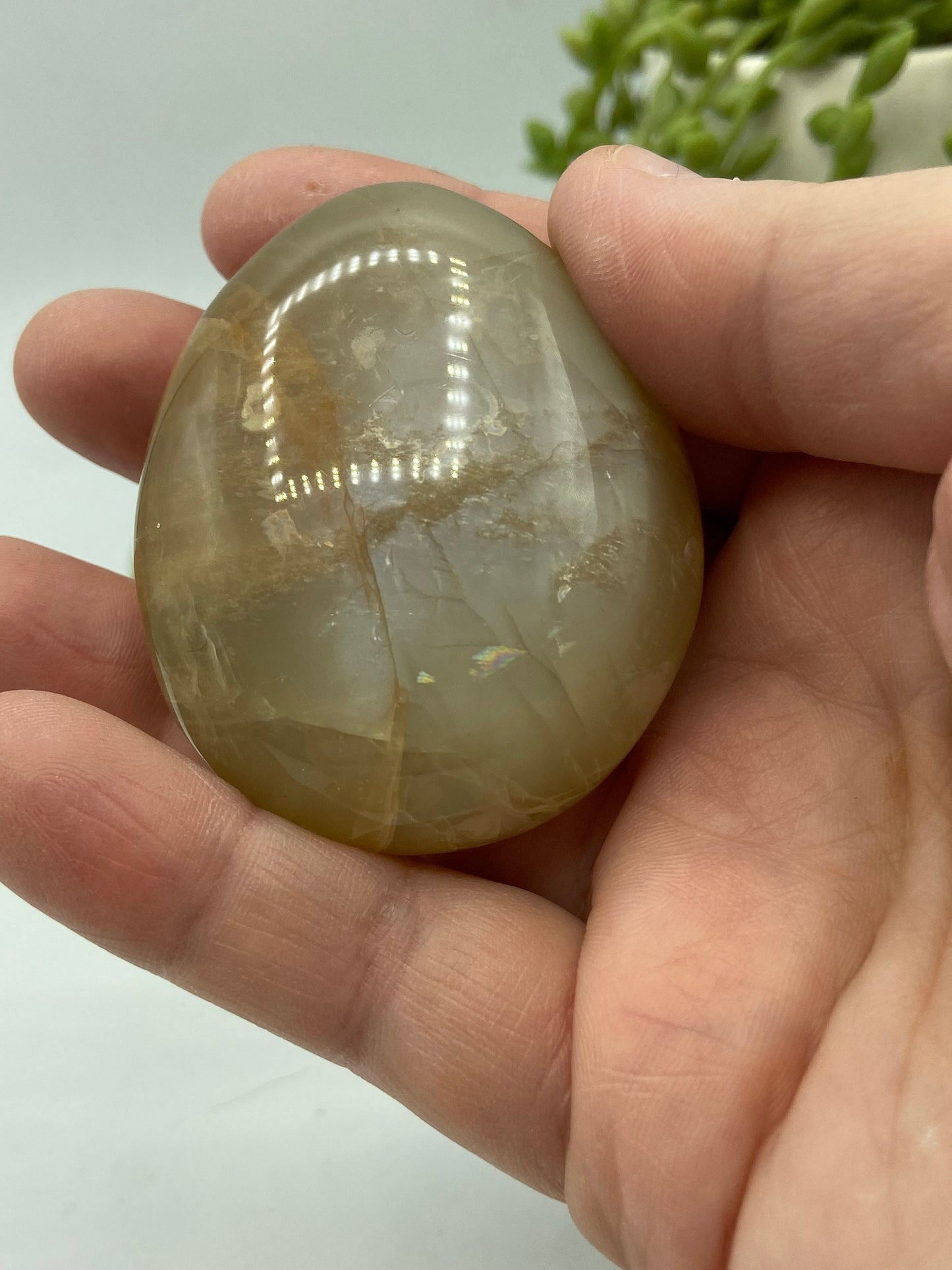 Flashy Peach Moonstone Palm stone/palmstone, crystal palms, moonstone,