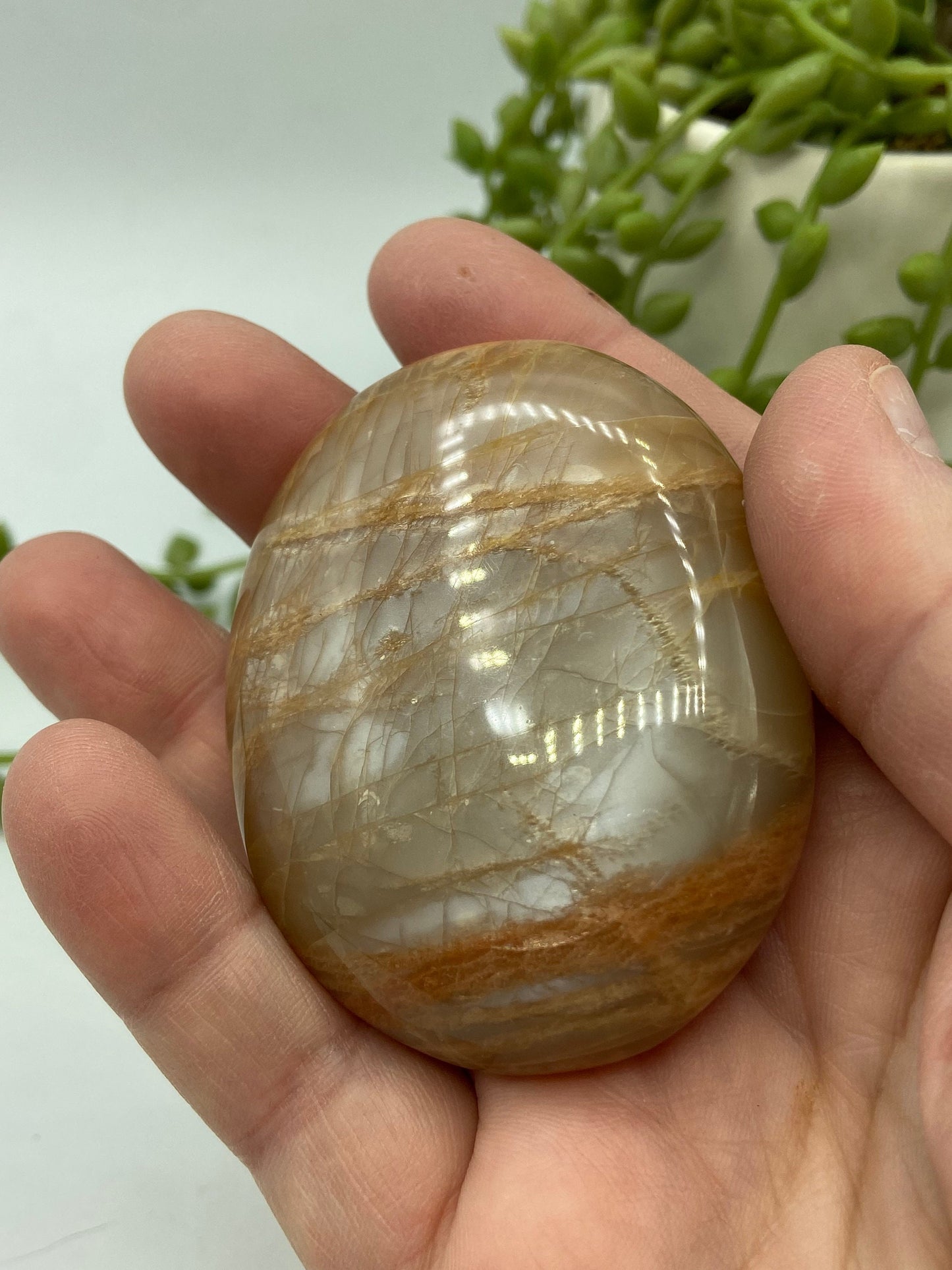 Flashy Peach Moonstone Palm stone/palmstone, crystal palms, moonstone,