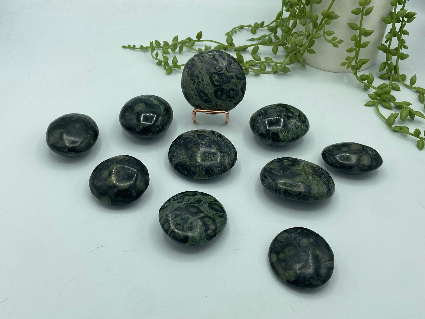 Kambaba Jasper Palm Stone (I) Crystal Worry Stone, Jasper Crystal, Healing Crystals, Green Stromatolite
