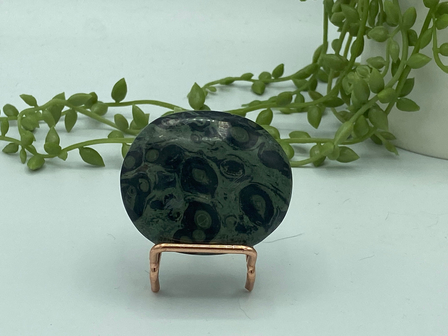 Kambaba Jasper Palm Stone (I) Crystal Worry Stone, Jasper Crystal, Healing Crystals, Green Stromatolite