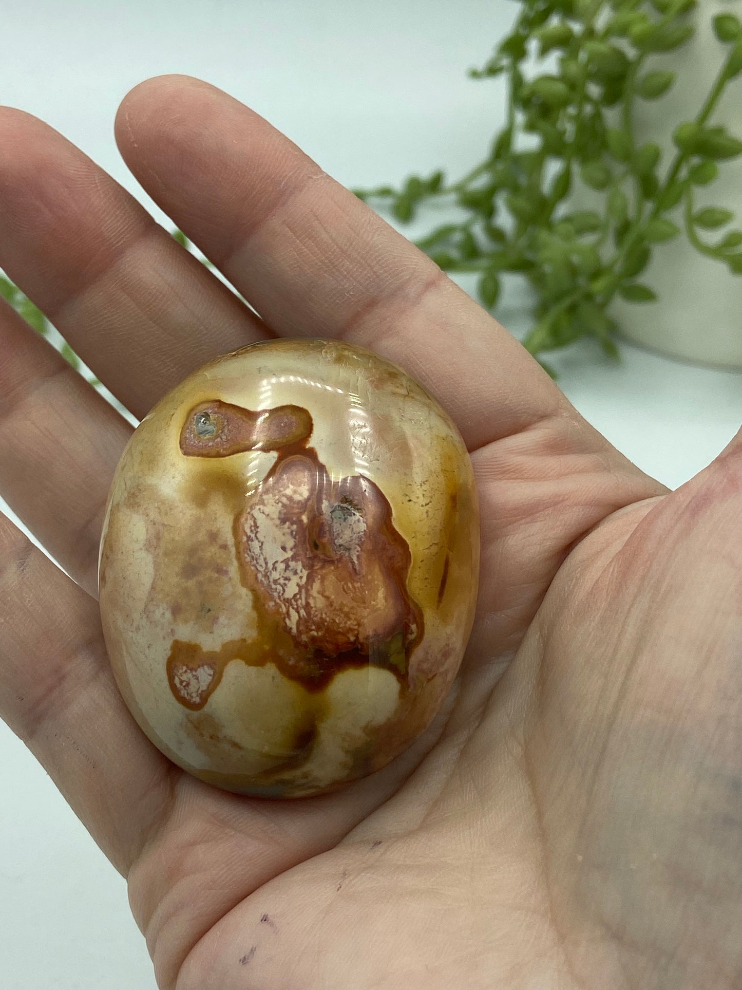 Polychrome Jasper palmstone (E) Desert Jasper, meditation stone, chakra healing, balancing crystal, gemstone, marbled pattern