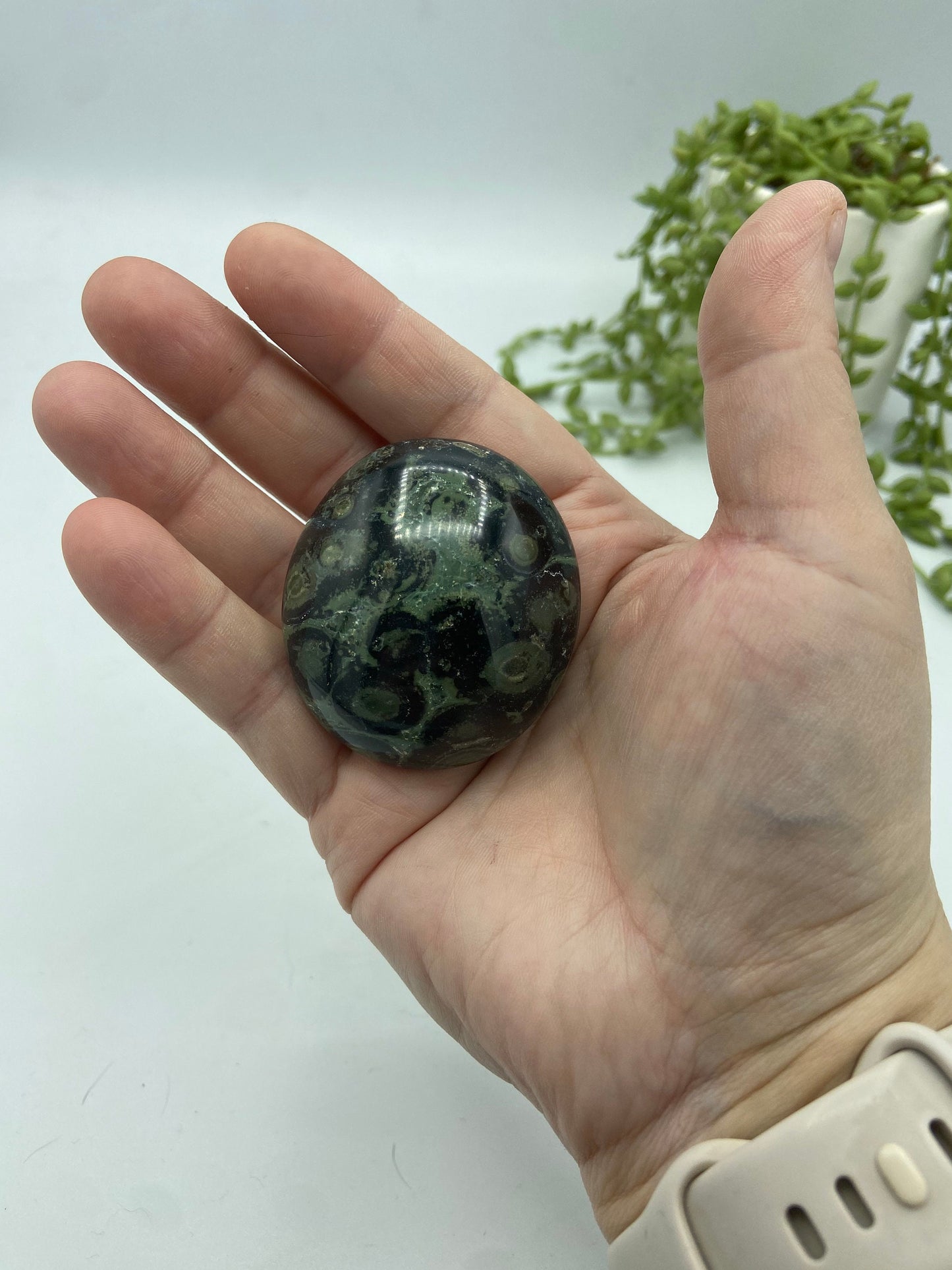Kambaba Jasper Palm Stone (G) Crystal Worry Stone, Jasper Crystal, Healing Crystals, Green Stromatolite