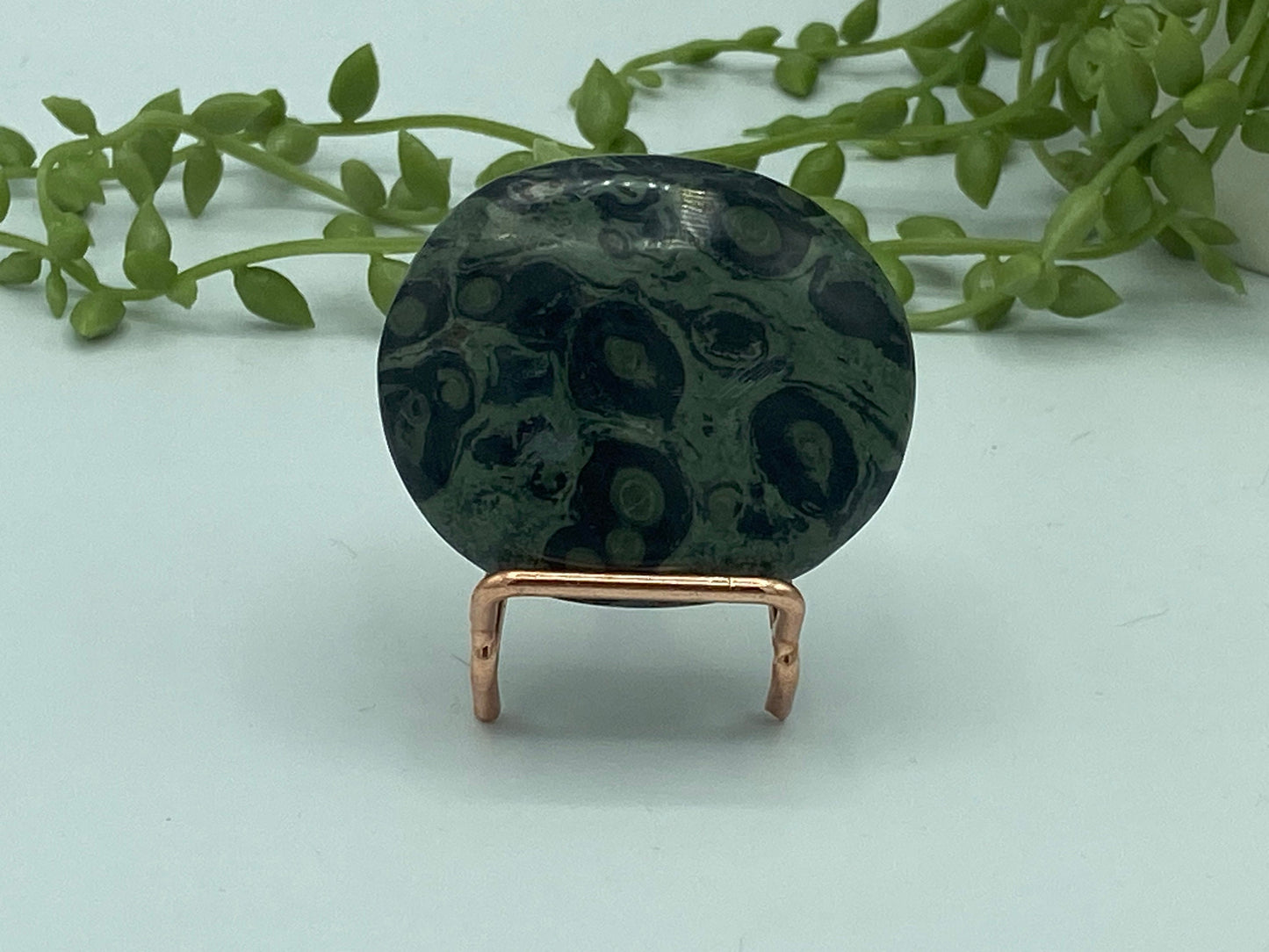 Kambaba Jasper Palm Stone (I) Crystal Worry Stone, Jasper Crystal, Healing Crystals, Green Stromatolite