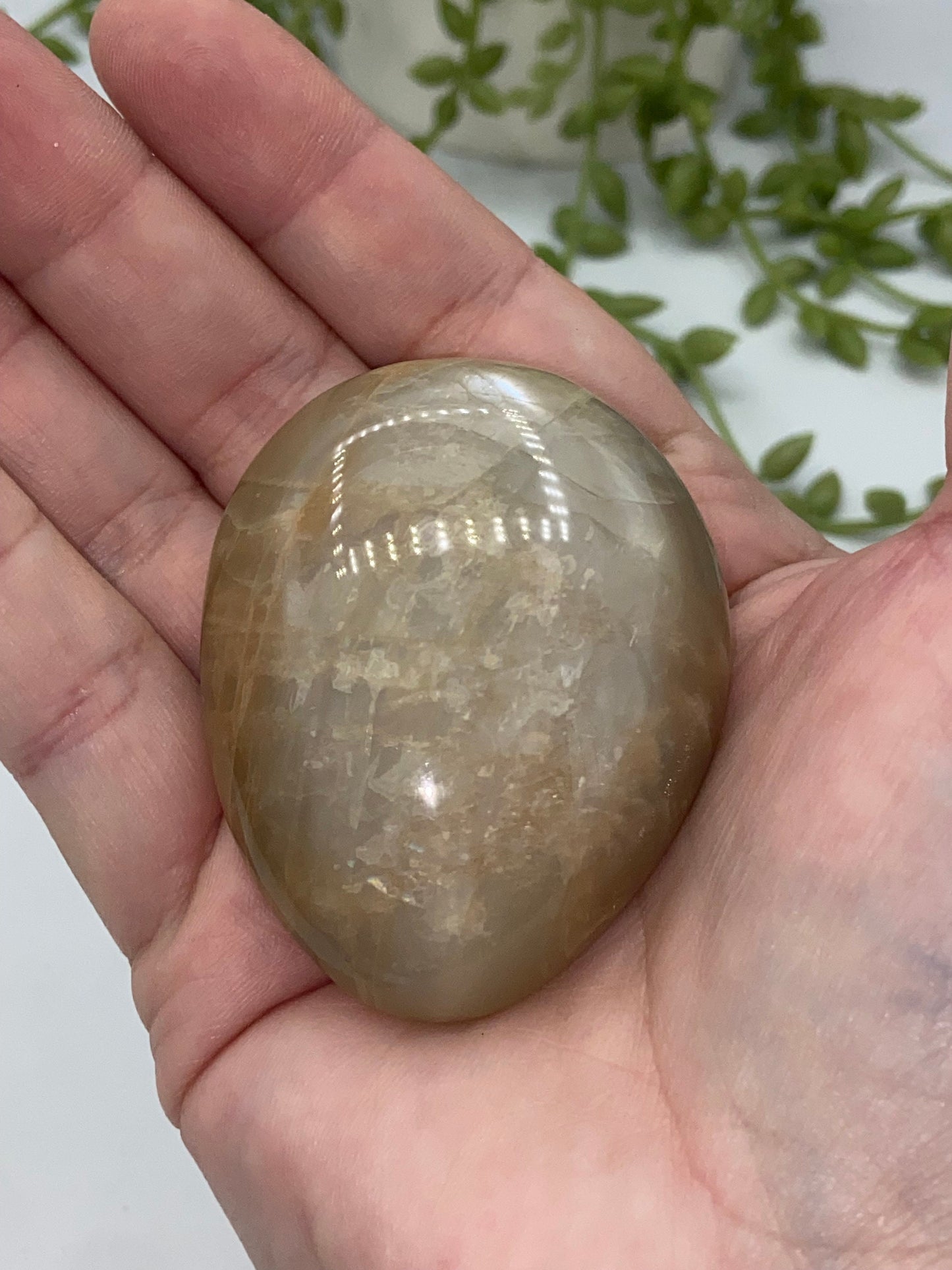 Flashy Peach Moonstone (C) Palm stone/palmstone, crystal palms, moonstone,