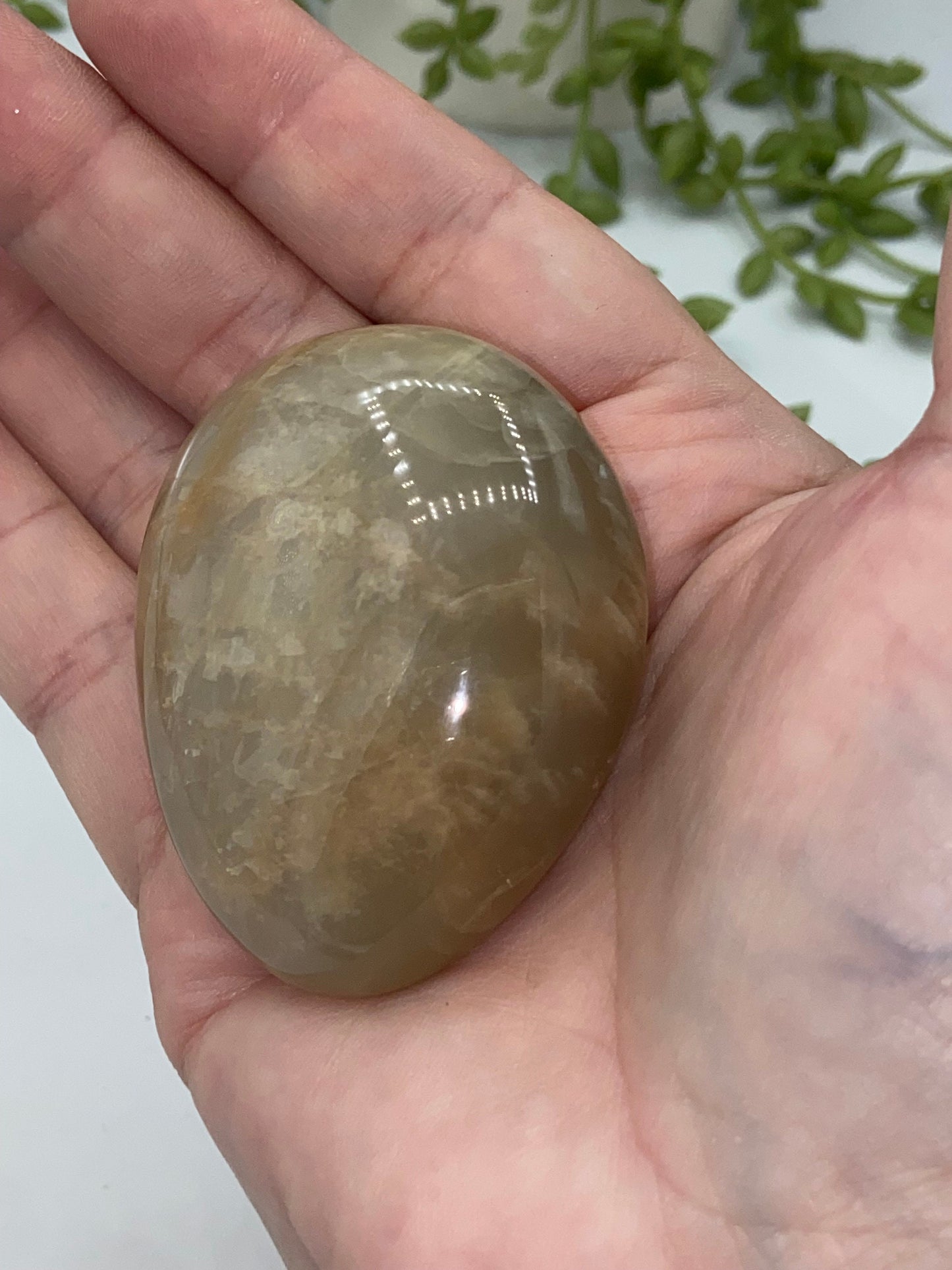 Flashy Peach Moonstone (C) Palm stone/palmstone, crystal palms, moonstone,