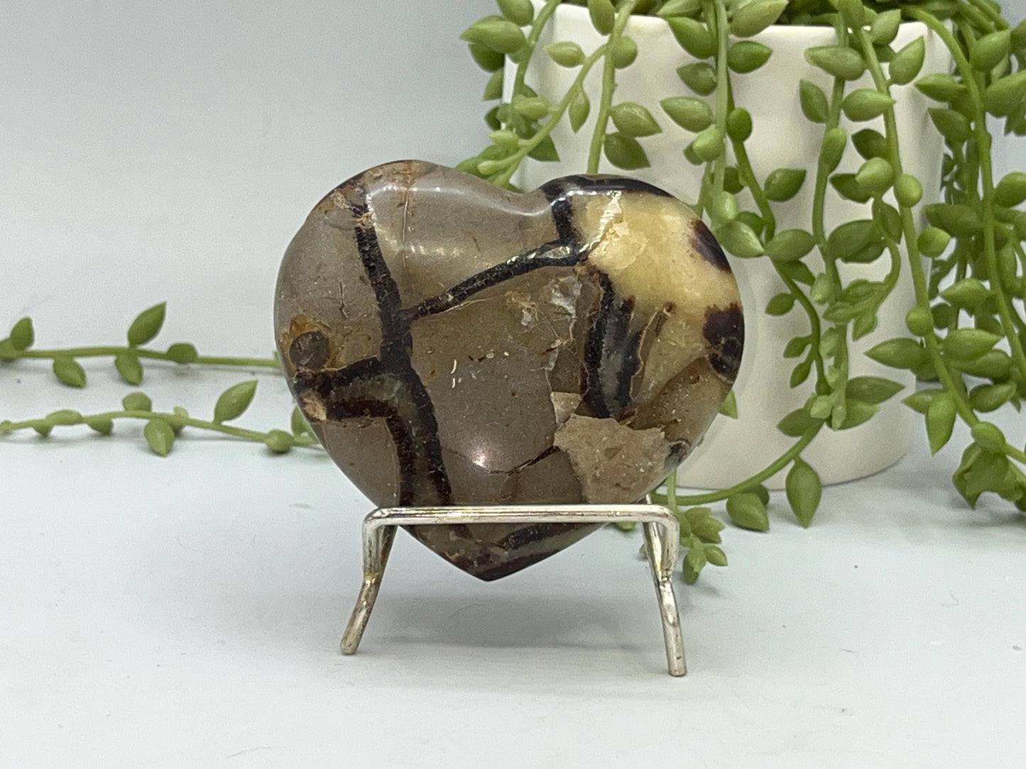 Septarian Crystal Puffed Heart (C,) Dragon Stone, Palm Stone, Yellow Calcite, Aragonite, Limestone, Beetle Stone, Turtle Stone