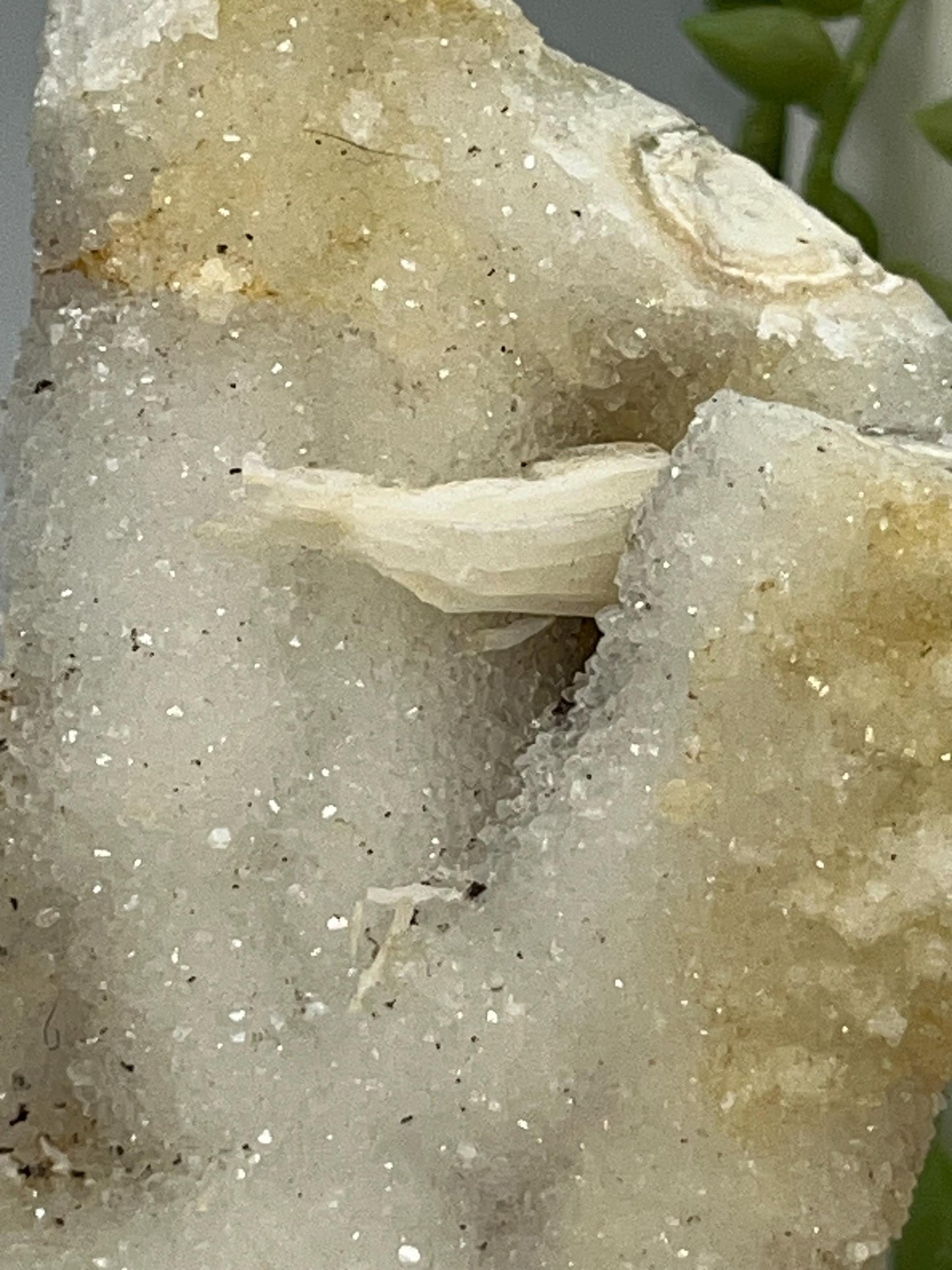 Quartz Stalactite Cluster (A) Druzy Stalactite Cluster from Brazil, Coral Spirit Cactus, Fairy spirit Quartz.