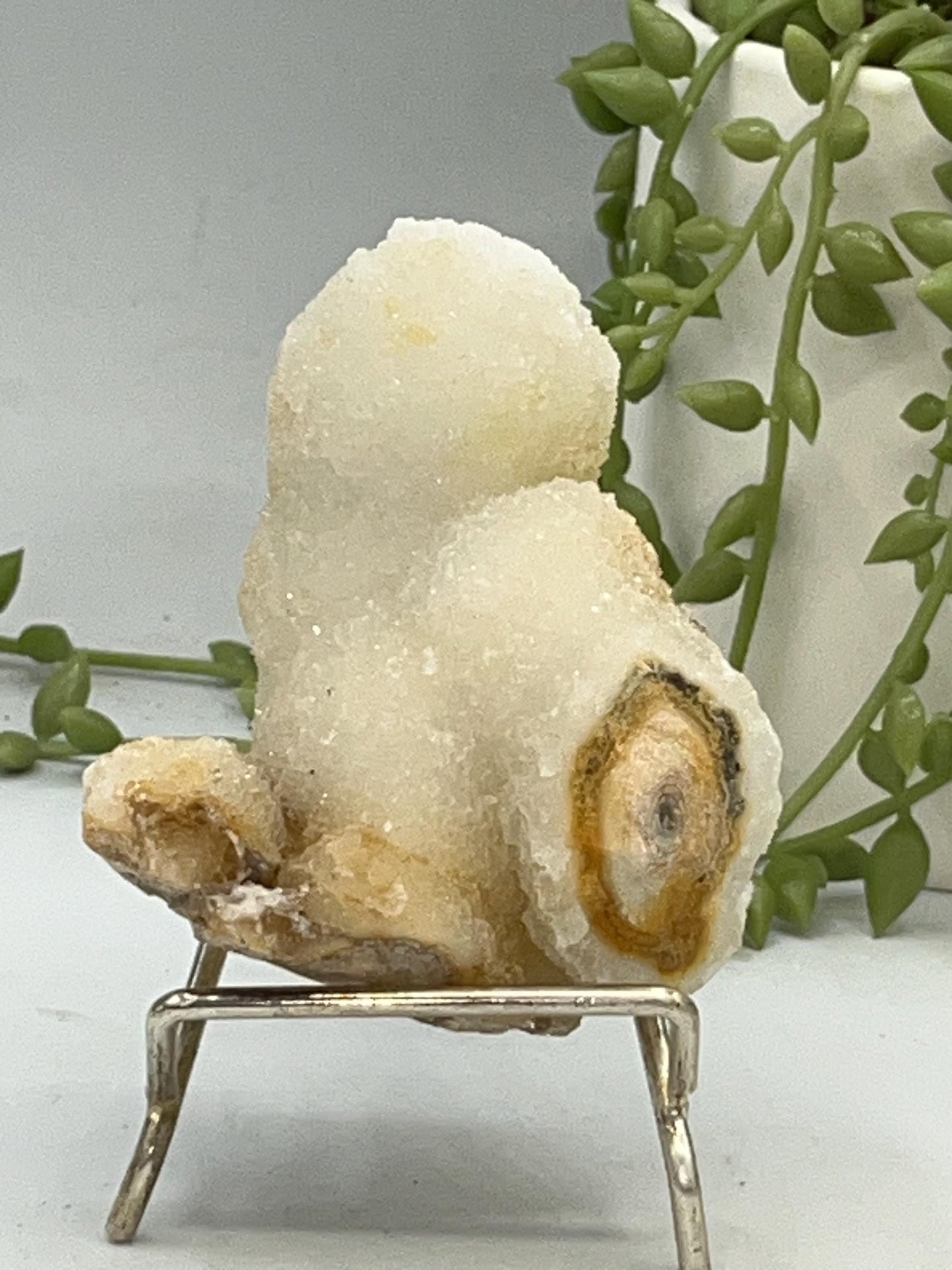 Quartz Stalactite Cluster (D) Druzy Stalactite Cluster from Brazil, Coral Spirit Cactus, Fairy spirit Quartz.