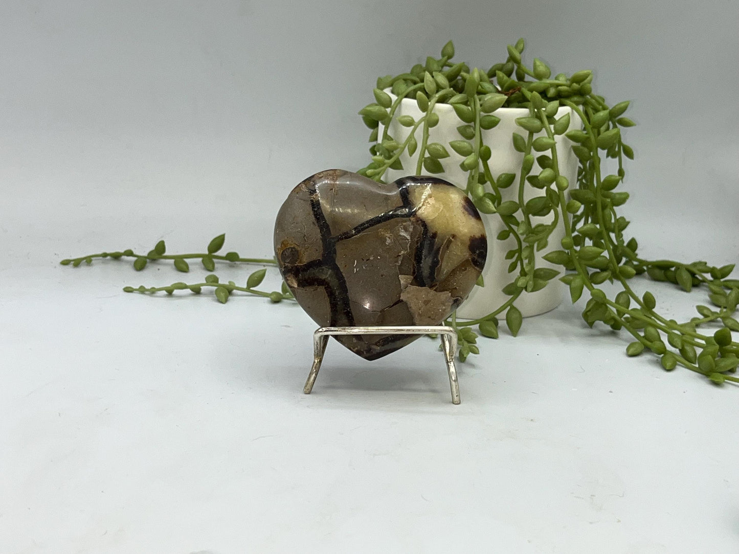 Septarian Crystal Puffed Heart (C,) Dragon Stone, Palm Stone, Yellow Calcite, Aragonite, Limestone, Beetle Stone, Turtle Stone