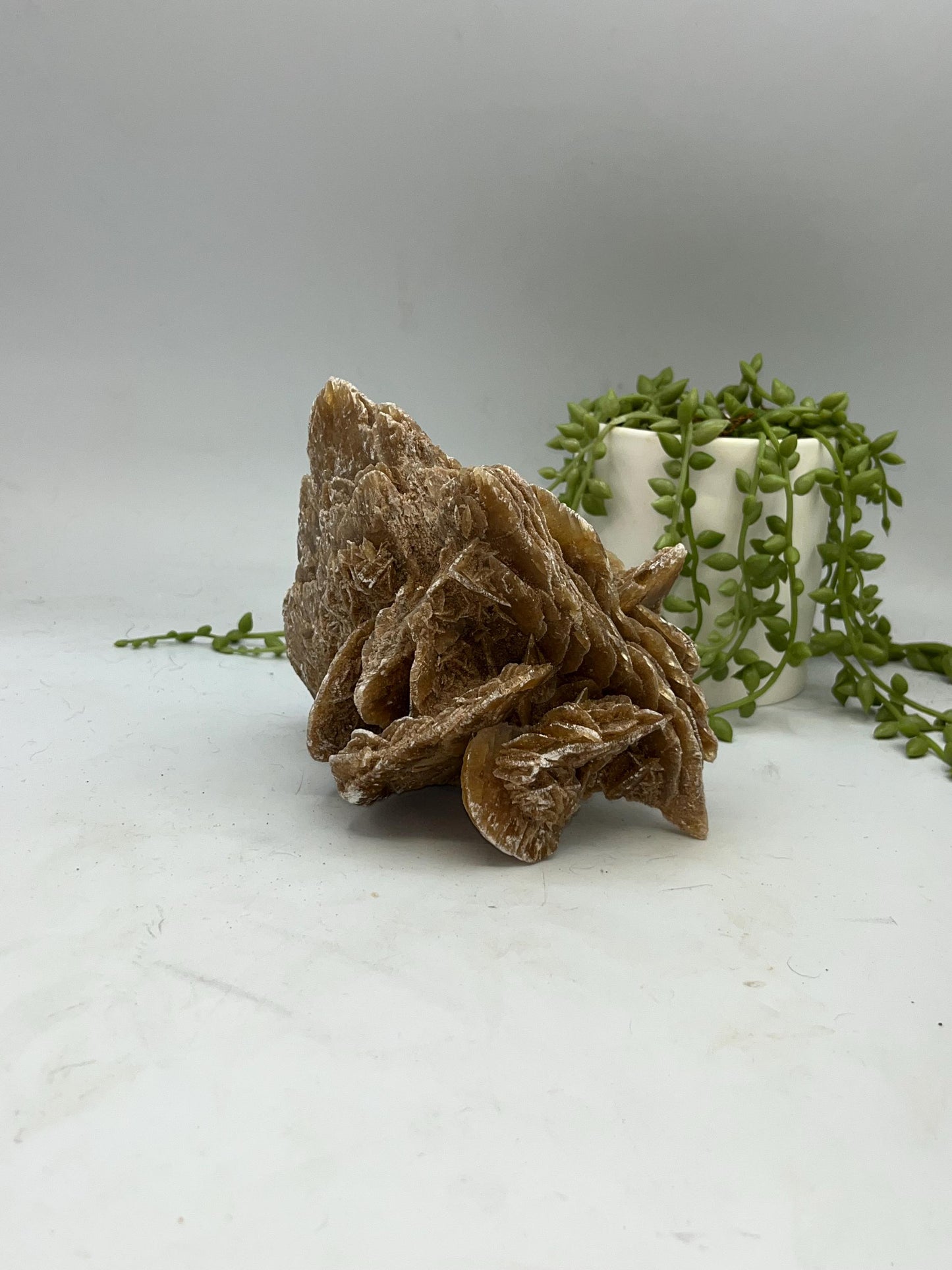 Selenite Desert Rose from Morocco. Sand Rose, Sahara Rose, Rose Rock, Selenite Rose, Gypsum Rose, Baryte (Barite) Rose. 1 kilogram
