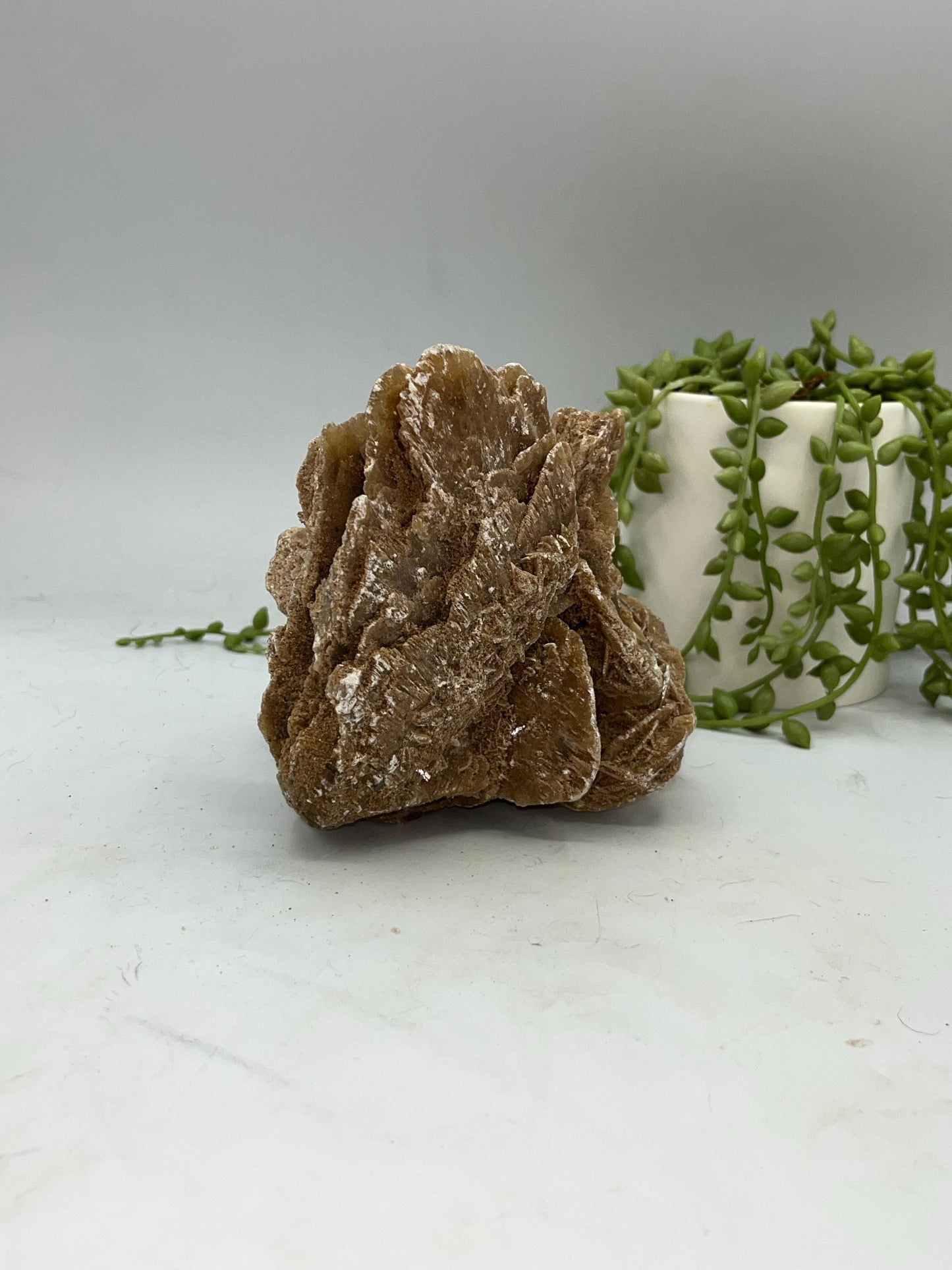 Selenite Desert Rose from Morocco. Sand Rose, Sahara Rose, Rose Rock, Selenite Rose, Gypsum Rose, Baryte (Barite) Rose. 1 kilogram