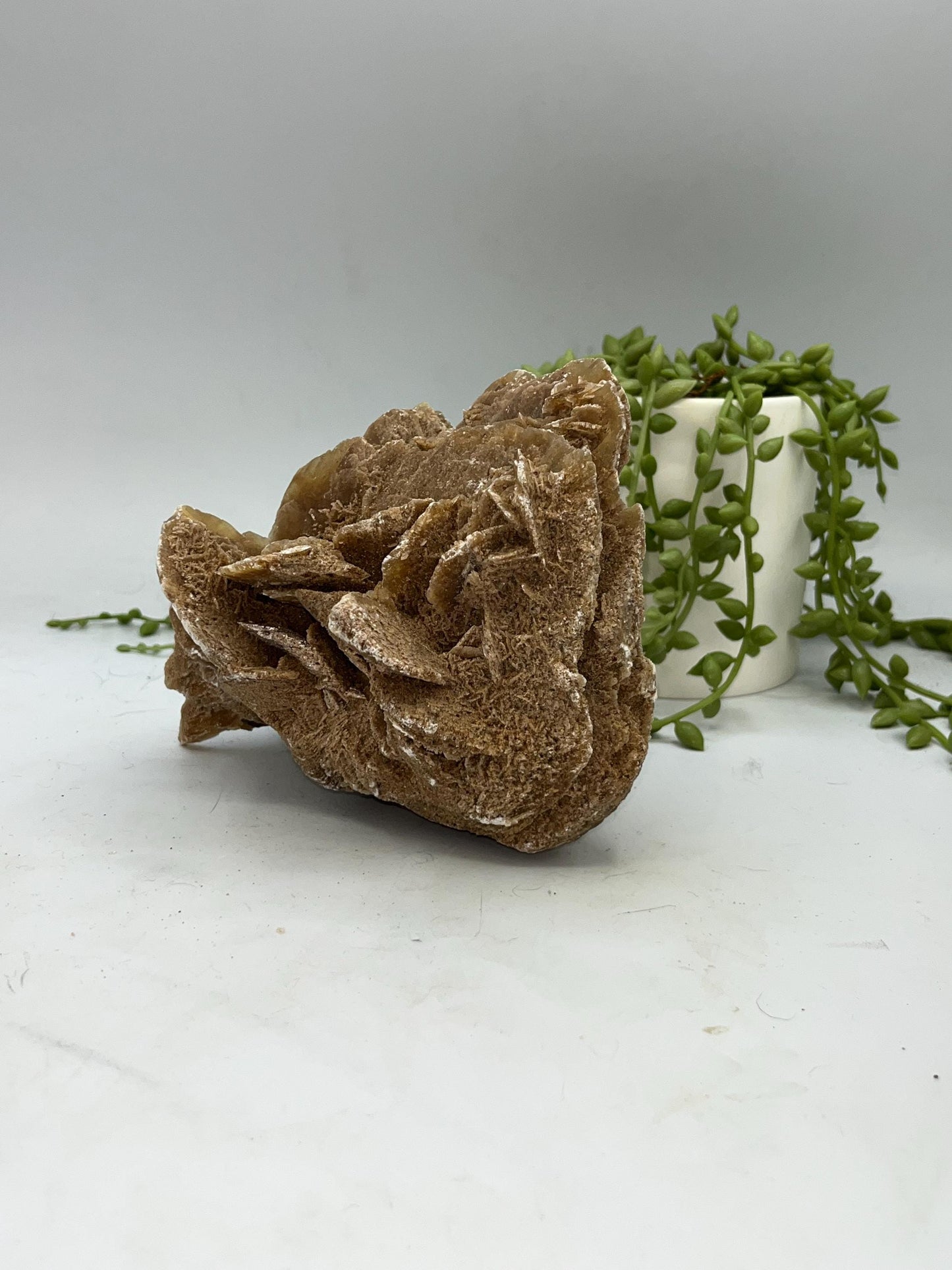 Selenite Desert Rose from Morocco. Sand Rose, Sahara Rose, Rose Rock, Selenite Rose, Gypsum Rose, Baryte (Barite) Rose. 1 kilogram