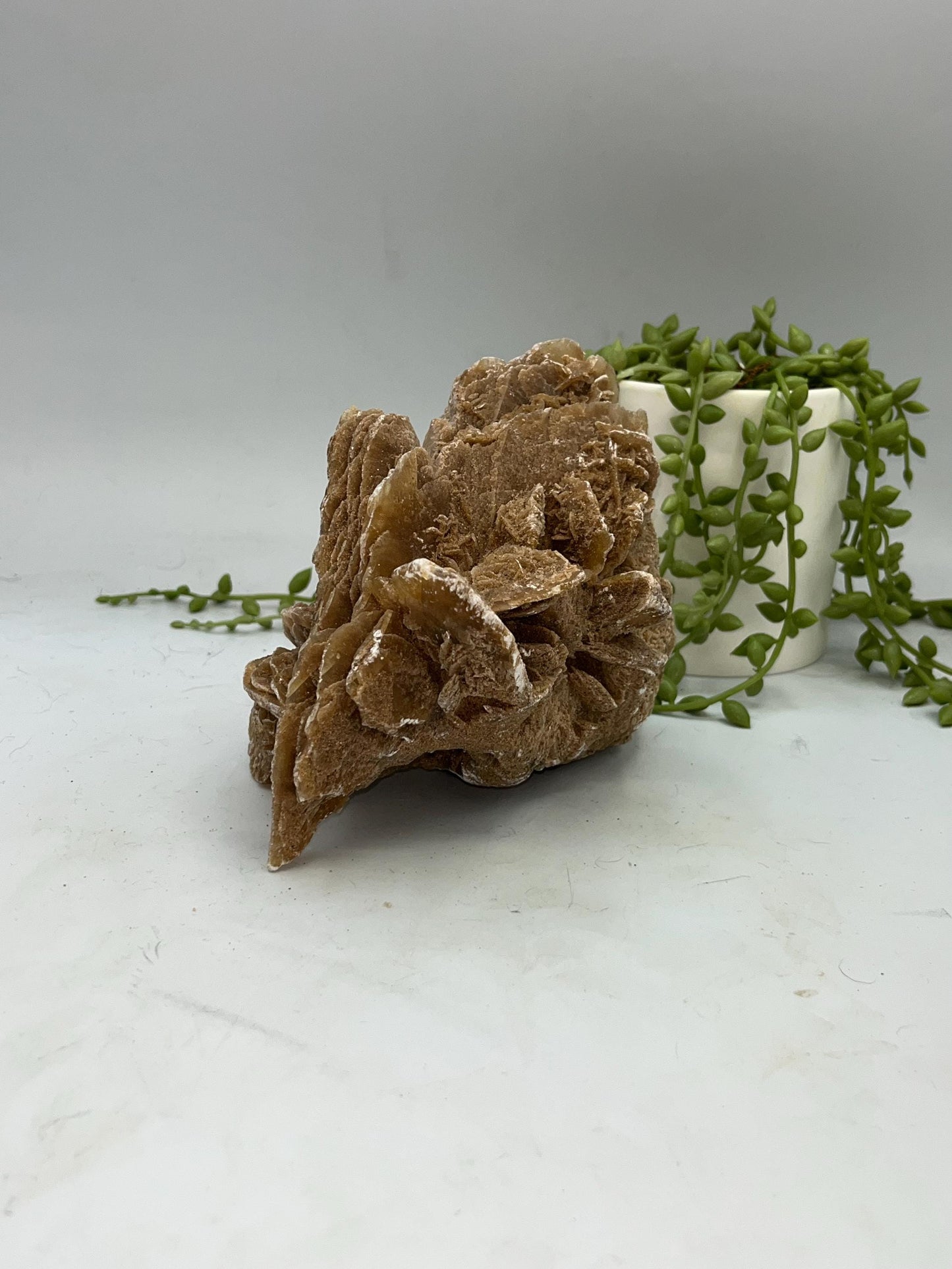 Selenite Desert Rose from Morocco. Sand Rose, Sahara Rose, Rose Rock, Selenite Rose, Gypsum Rose, Baryte (Barite) Rose. 1 kilogram