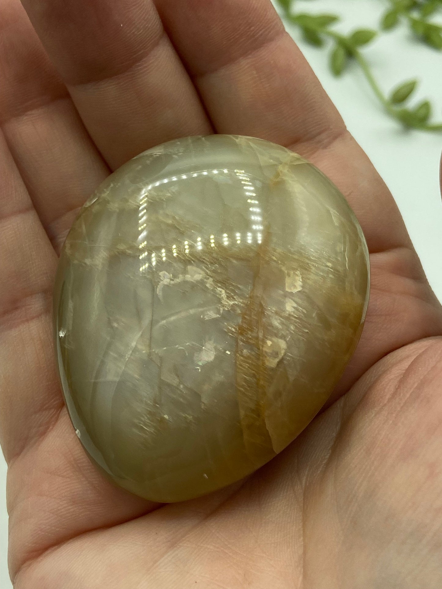 Flashy Peach Moonstone (C) Palm stone/palmstone, crystal palms, moonstone,