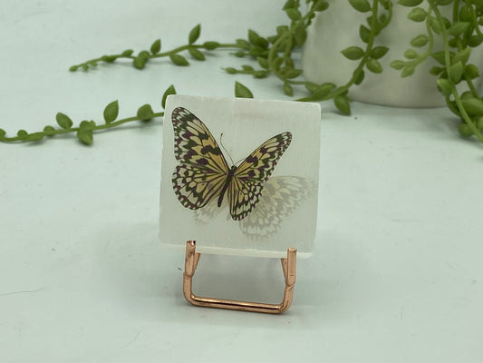 Pretty butterfly on Selenite/Gypsum/Satin Spar small sized charging plate, Approx 55mm, cleansing & recharging, butterflies pattern,
