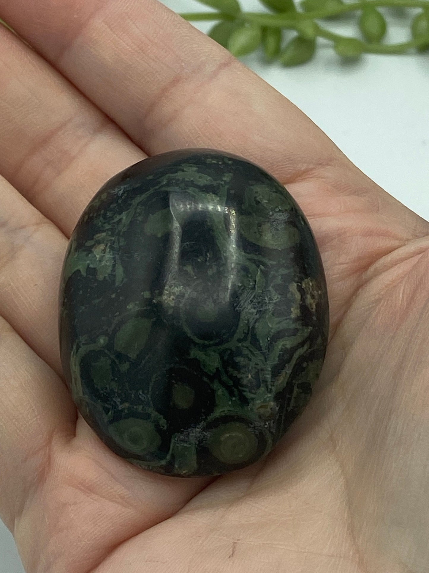 Kambaba Jasper Palm Stone (C) Crystal Worry Stone, Jasper Crystal, Healing Crystals, Green Stromatolite