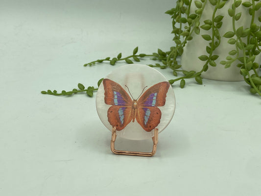 Pretty butterfly on Selenite/Gypsum/Satin Spar small sized charging plate, Approx 55mm, cleansing & recharging, butterflies pattern,