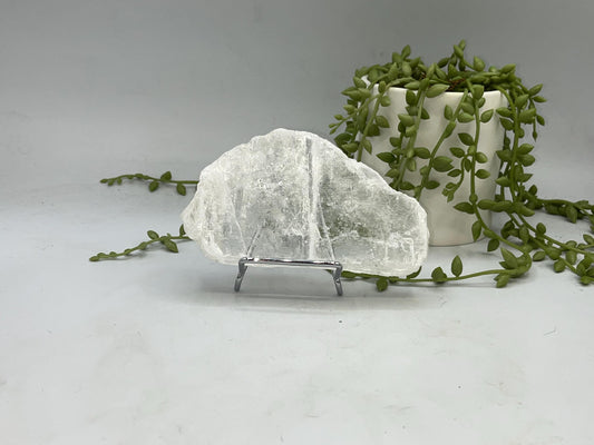 Pure true selenite slab (12), raw selenite, selenite charging plate, selenite specimen