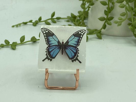 Pretty butterfly on Selenite/Gypsum/Satin Spar small sized charging plate, Approx 55mm, cleansing & recharging, butterflies pattern,