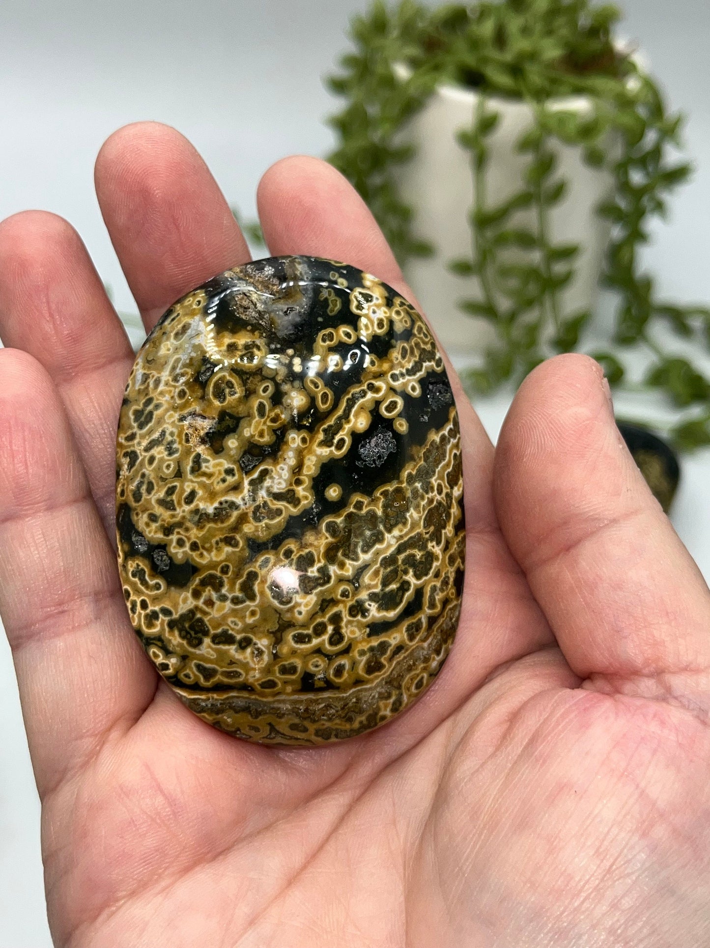 Stunning 8th Vein Jasper palm stones (selection B), Sea Jasper, Ocean Jasper, druzy crystals, quartz inclusions, orbicular jasper,