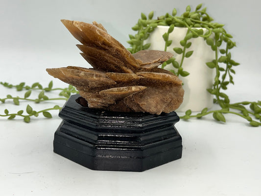 Moroccan Desert Rose Selenite, Arabian Desert Sand Rose, Desert Rose  Sand Rose, Sahara Rose, Rose Rock, Baryte (Barite) Rose.