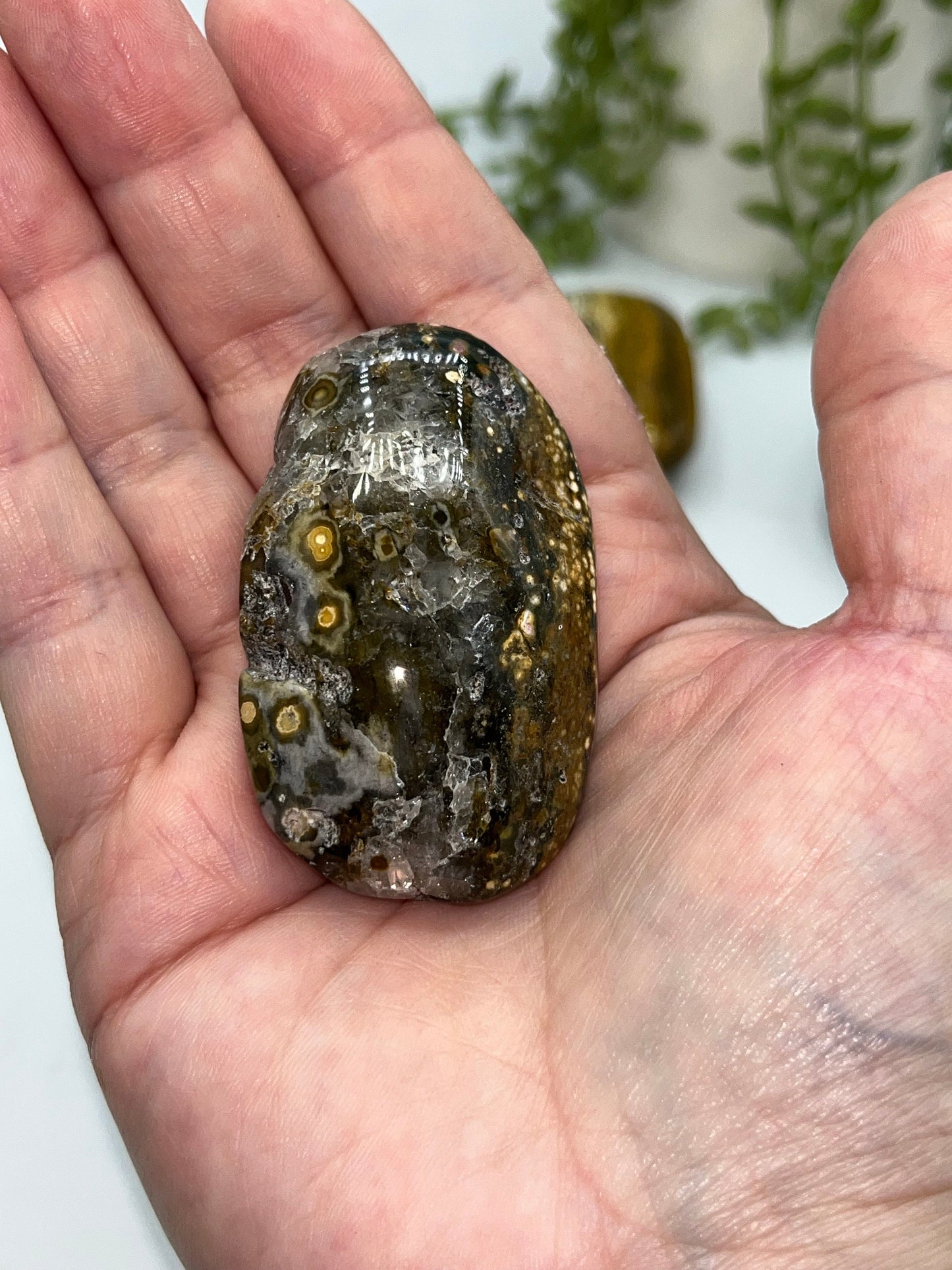 Stunning 8th Vein Jasper palm stones (selection B), Sea Jasper, Ocean Jasper, druzy crystals, quartz inclusions, orbicular jasper,