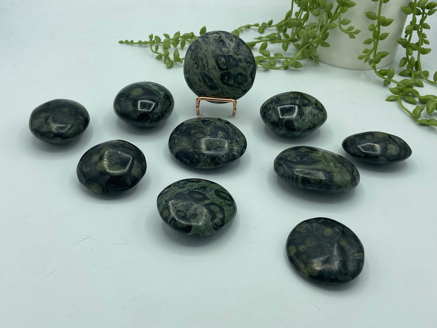 Kambaba Jasper Palm Stone (C) Crystal Worry Stone, Jasper Crystal, Healing Crystals, Green Stromatolite