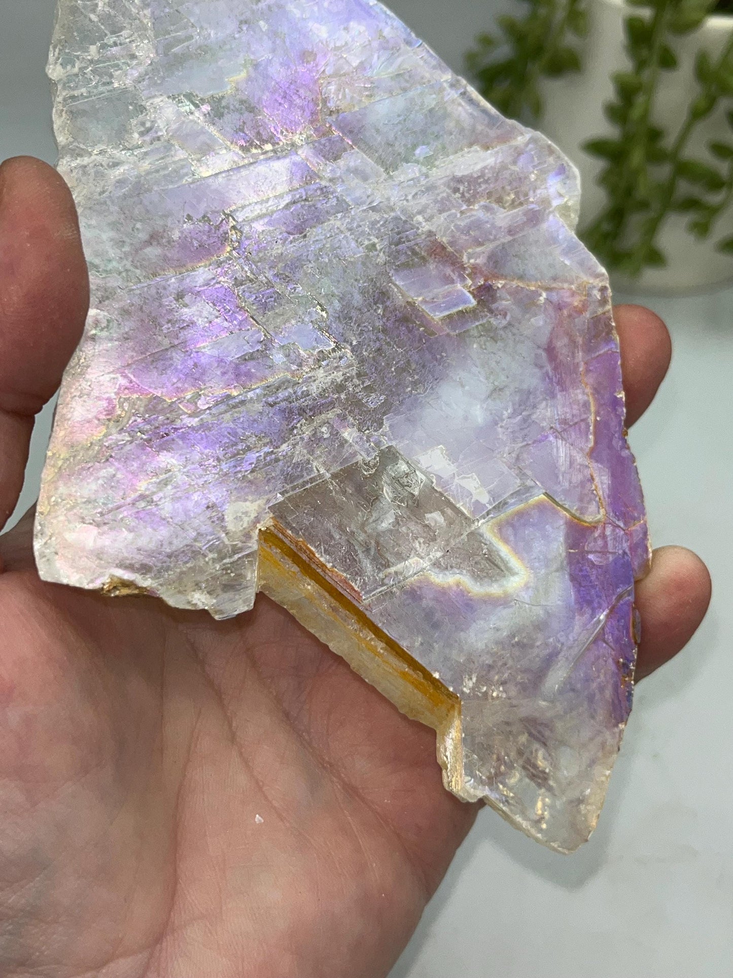 Pure true Angel Aura Selenite Slab with Golden Phantom/ Healer inclusions (4), raw Selenite, Selenite **please read description**