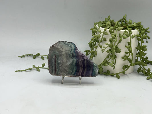 Fluorite slab/slices (A) Natural Rainbow Fluorite Slice, Crystal collection,crystal specimen, Rainbow Fluorite Slice, crystal Slice