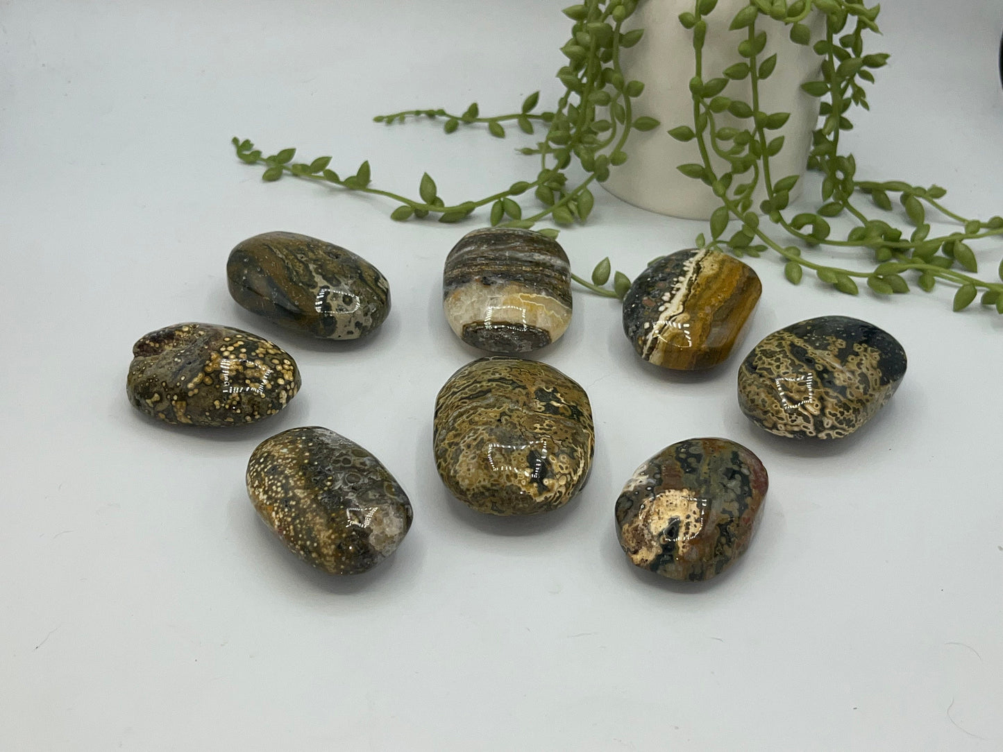 Stunning 8th Vein Jasper palm stones (selection B), Sea Jasper, Ocean Jasper, druzy crystals, quartz inclusions, orbicular jasper,