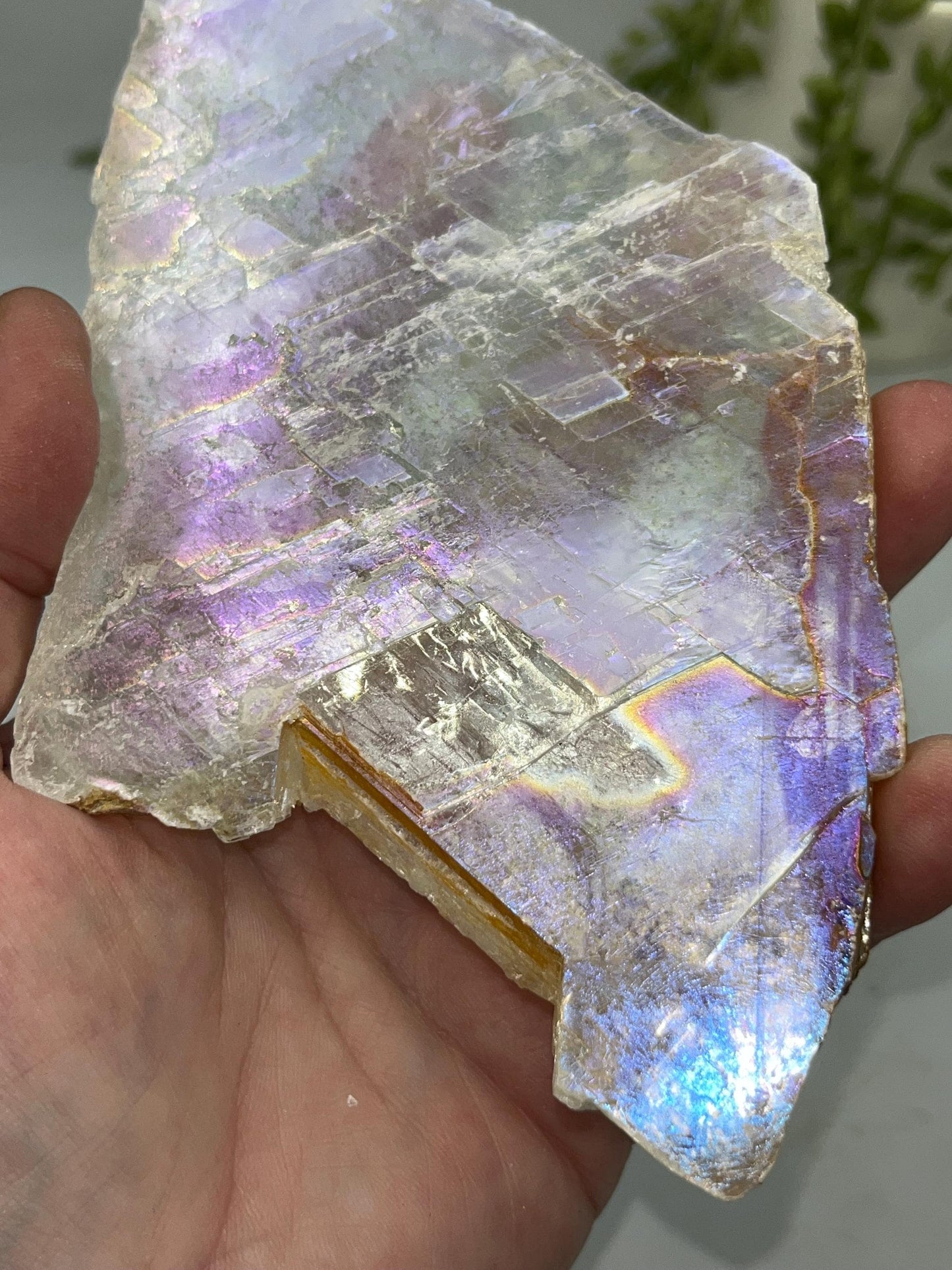 Pure true Angel Aura Selenite Slab with Golden Phantom/ Healer inclusions (4), raw Selenite, Selenite **please read description**