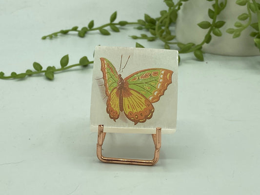 Pretty butterfly on Selenite/Gypsum/Satin Spar small sized charging plate, Approx 55mm, cleansing & recharging, butterflies pattern,