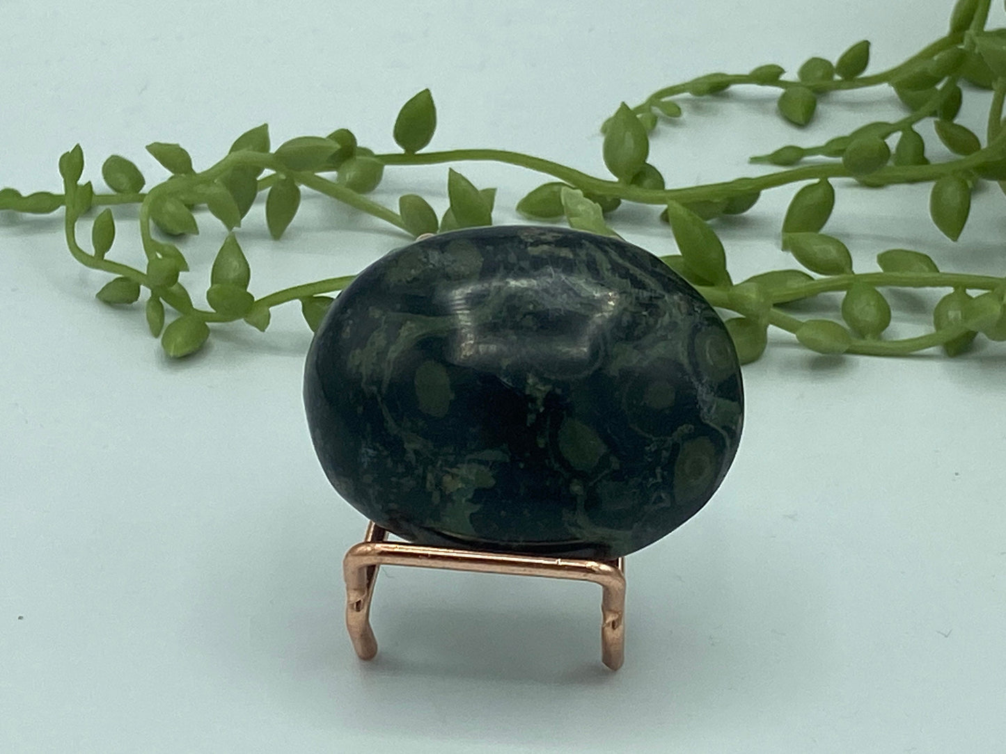 Kambaba Jasper Palm Stone (C) Crystal Worry Stone, Jasper Crystal, Healing Crystals, Green Stromatolite