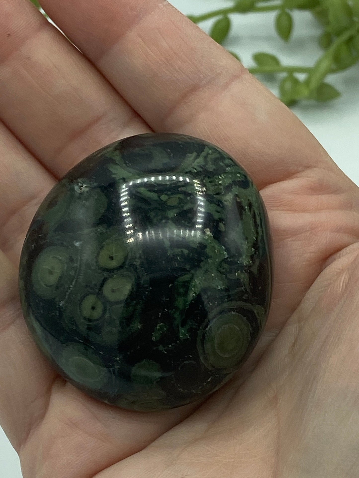 Kambaba Jasper Palm Stone (D) Crystal Worry Stone, Jasper Crystal, Healing Crystals, Green Stromatolite