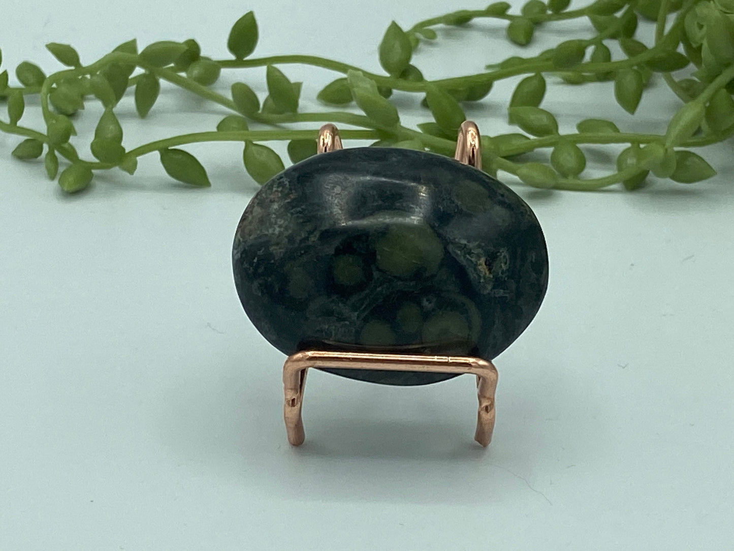 Kambaba Jasper Palm Stone (E) Crystal Worry Stone, Jasper Crystal, Healing Crystals, Green Stromatolite