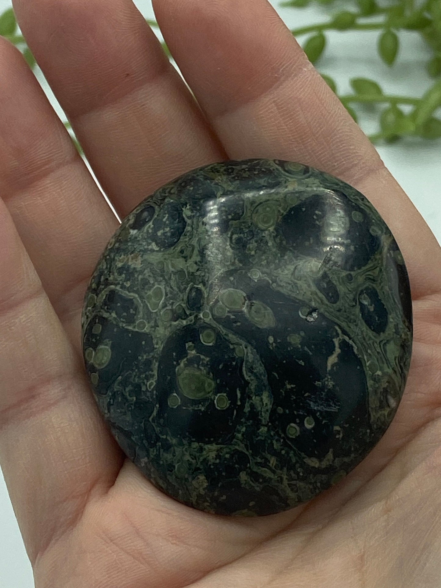 Kambaba Jasper Palm Stone (F) Crystal Worry Stone, Jasper Crystal, Healing Crystals, Green Stromatolite