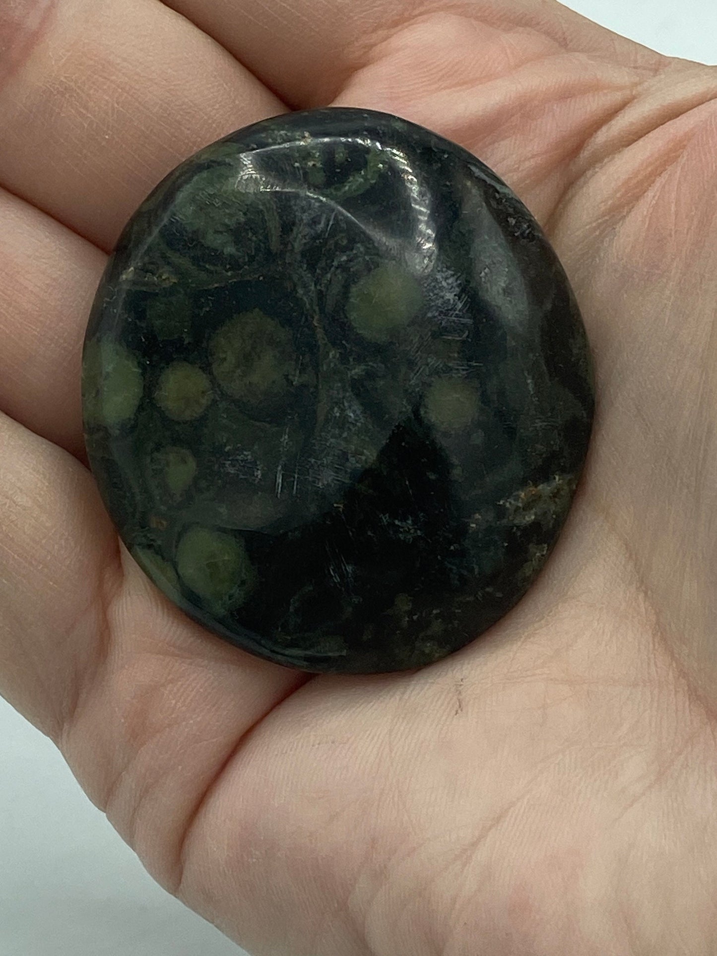 Kambaba Jasper Palm Stone (J) Crystal Worry Stone, Jasper Crystal, Healing Crystals, Green Stromatolite