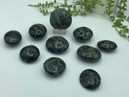 Kambaba Jasper Palm Stone (B) Crystal Worry Stone, Jasper Crystal, Healing Crystals, Green Stromatolite,