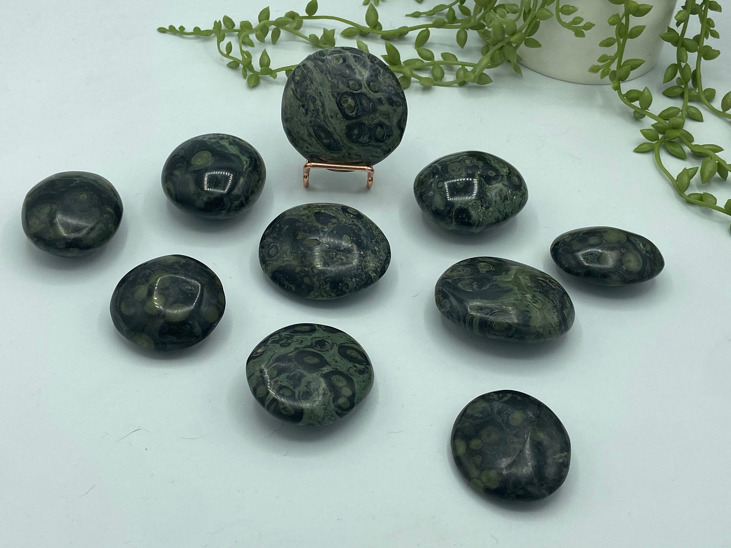 Kambaba Jasper Palm Stone (C) Crystal Worry Stone, Jasper Crystal, Healing Crystals, Green Stromatolite