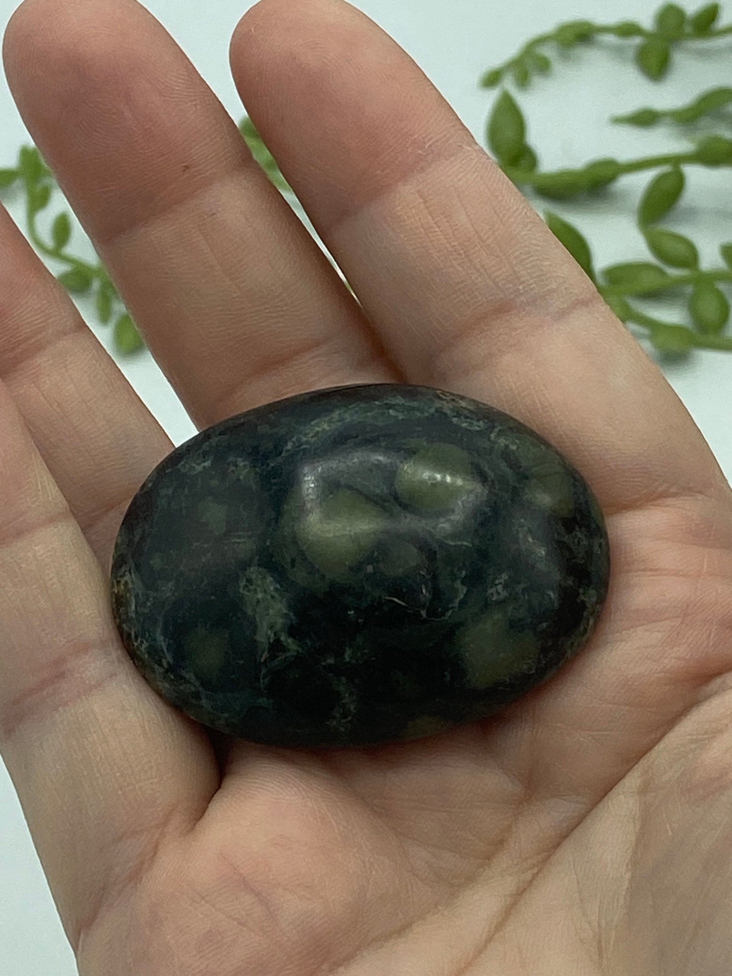 Kambaba Jasper Palm Stone (E) Crystal Worry Stone, Jasper Crystal, Healing Crystals, Green Stromatolite