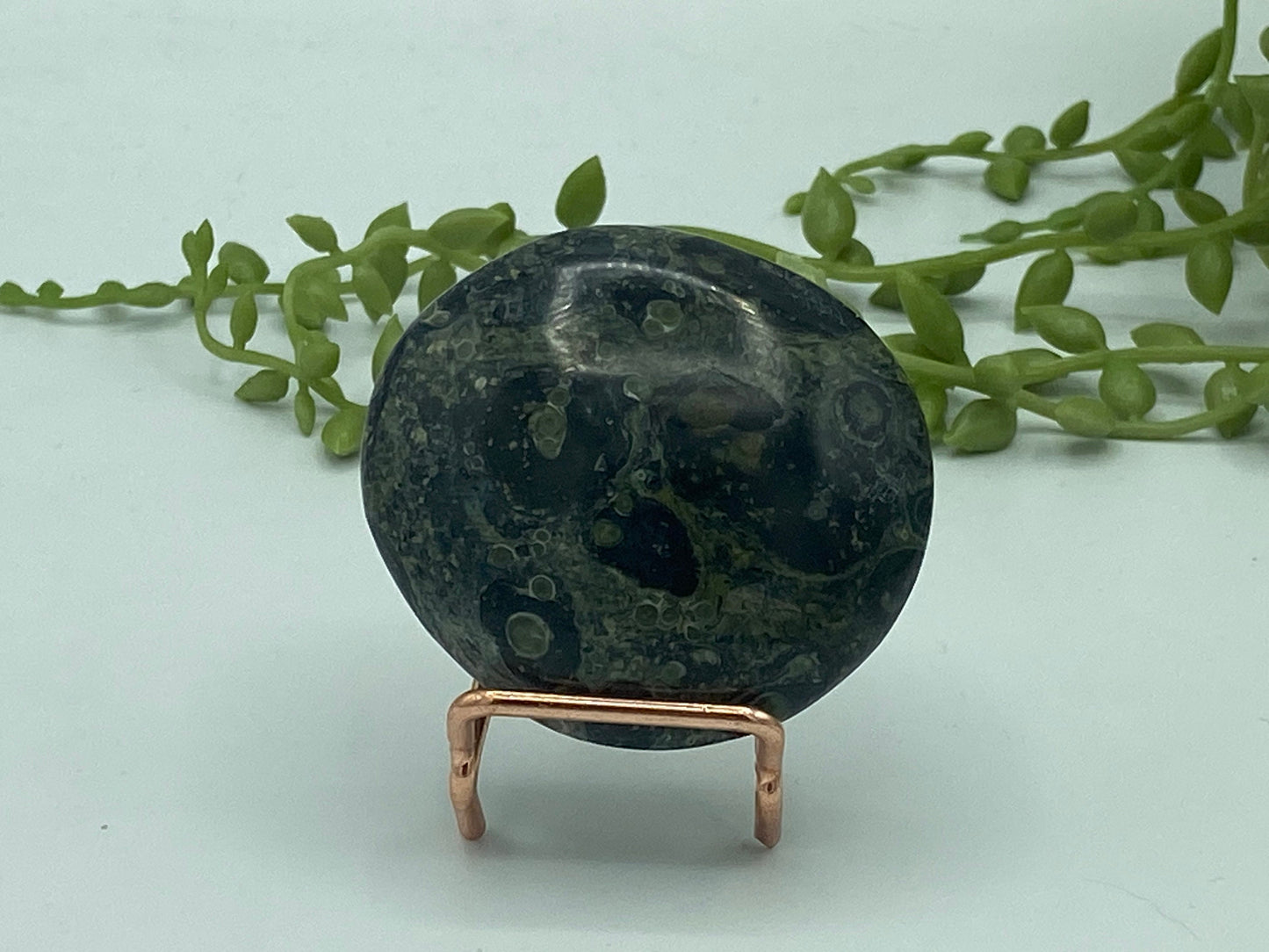 Kambaba Jasper Palm Stone (F) Crystal Worry Stone, Jasper Crystal, Healing Crystals, Green Stromatolite