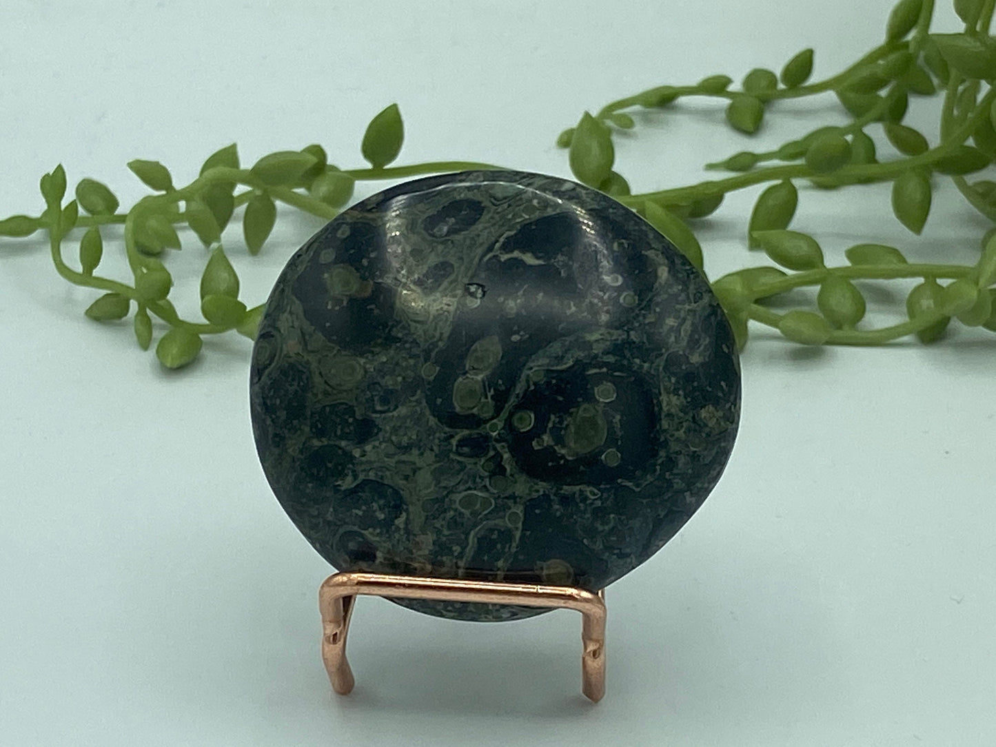 Kambaba Jasper Palm Stone (F) Crystal Worry Stone, Jasper Crystal, Healing Crystals, Green Stromatolite